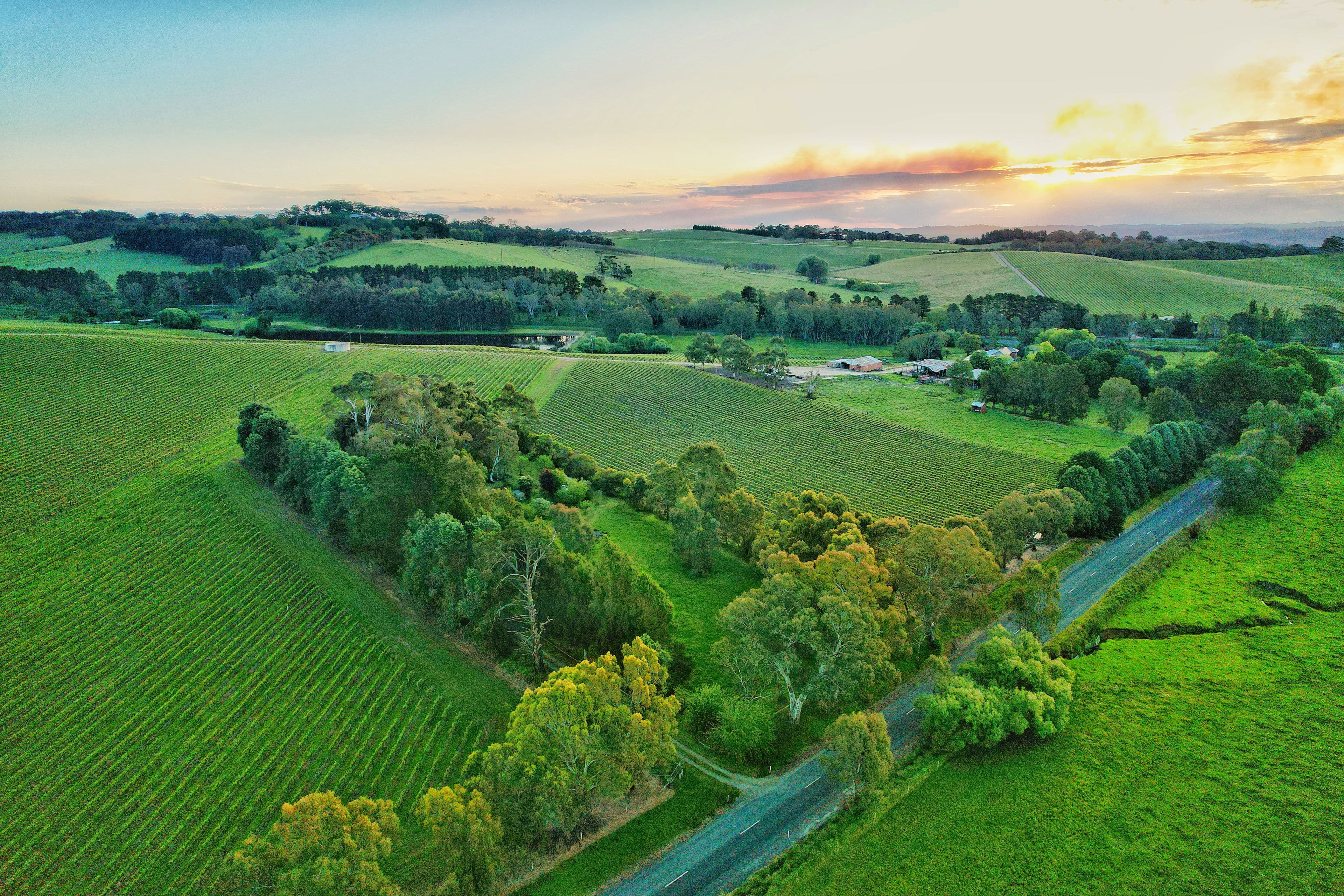 62 Mattners Road, Balhannah SA 5242, Balhannah - Thumbnail 2