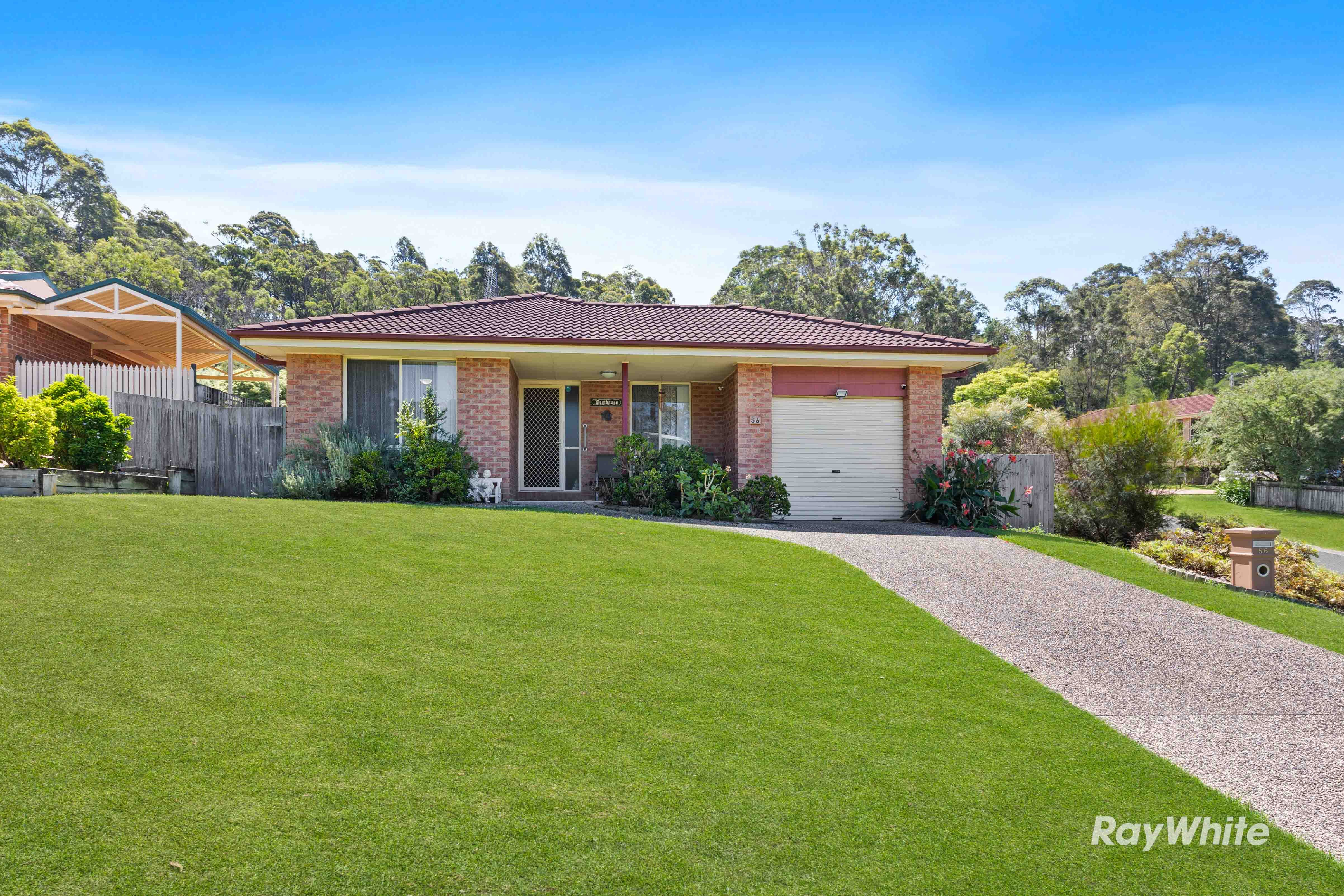 56 Melaleuca Crescent, Catalina NSW 2536, Catalina - Image 1