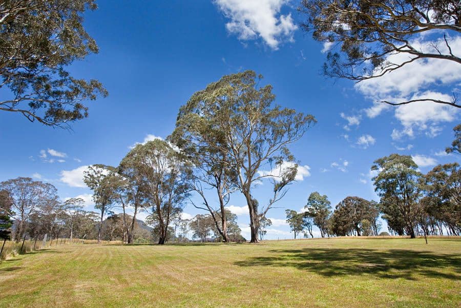 29 River Lett Close, HARTLEY NSW 2790, Hartley - Thumbnail 7