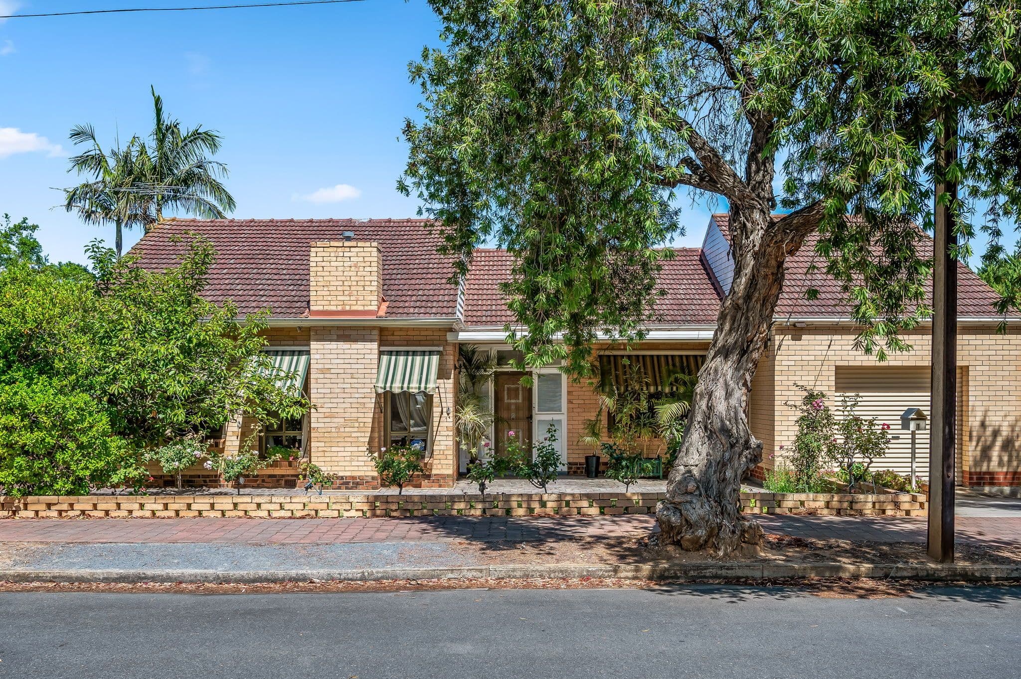 1 Dawn Street, Clarence Gardens SA 5039, Clarence Gardens - Image 1