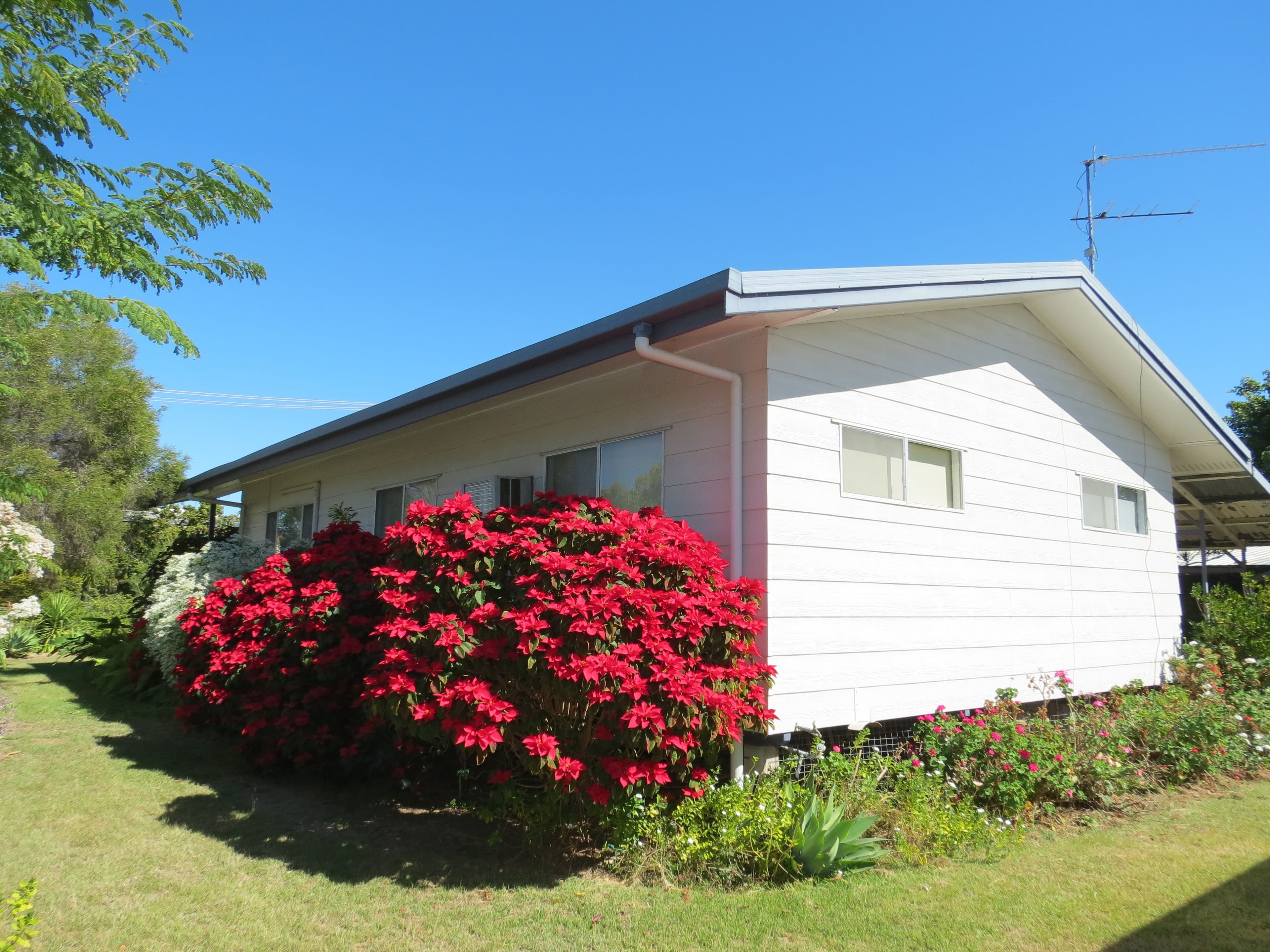 21 Mellish Crescent, Emerald QLD 4720, Emerald - Thumbnail 2
