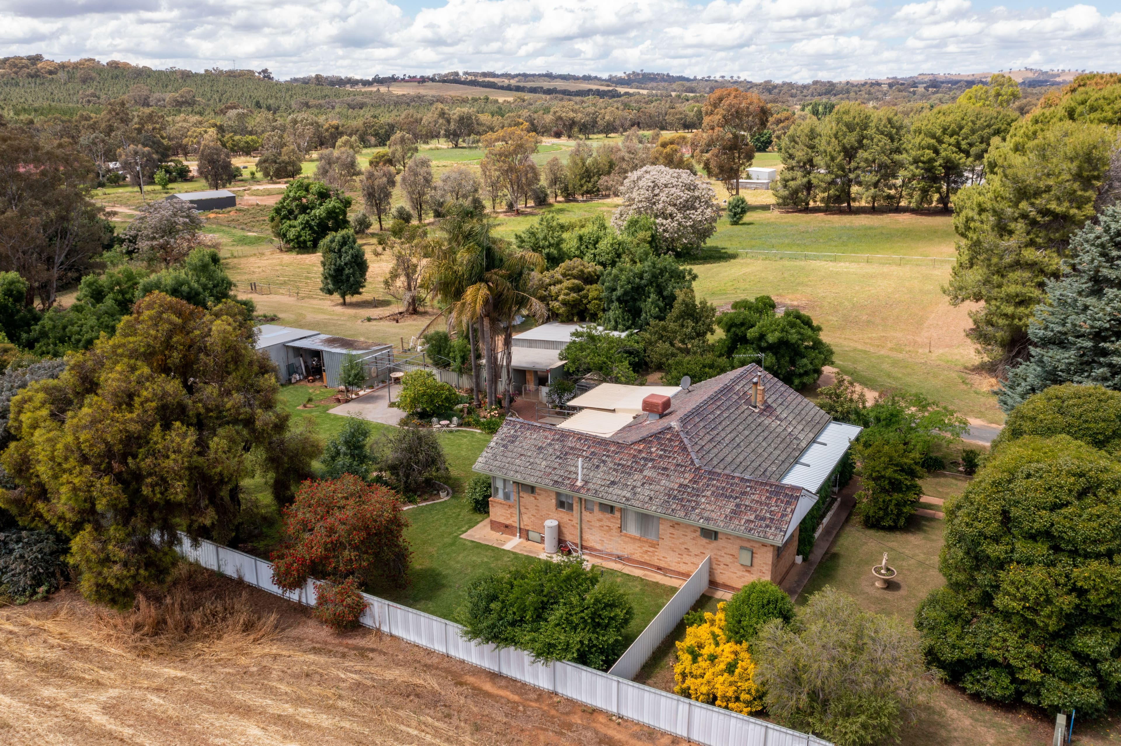 23 Eugene Avenue, San Isidore NSW 2650, San Isidore - Image 1