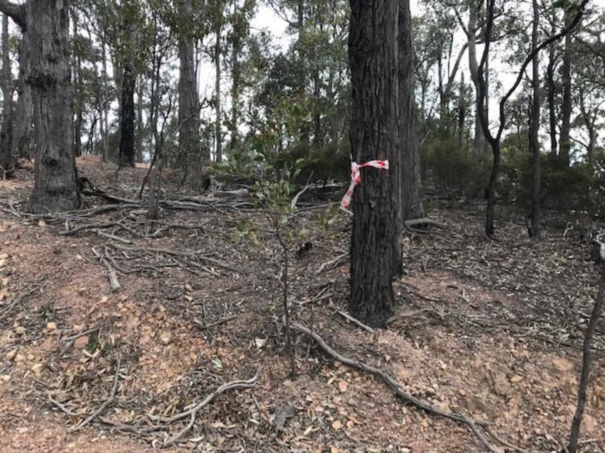 22A Hodges Road, COONGULLA, Coongulla - Image 1