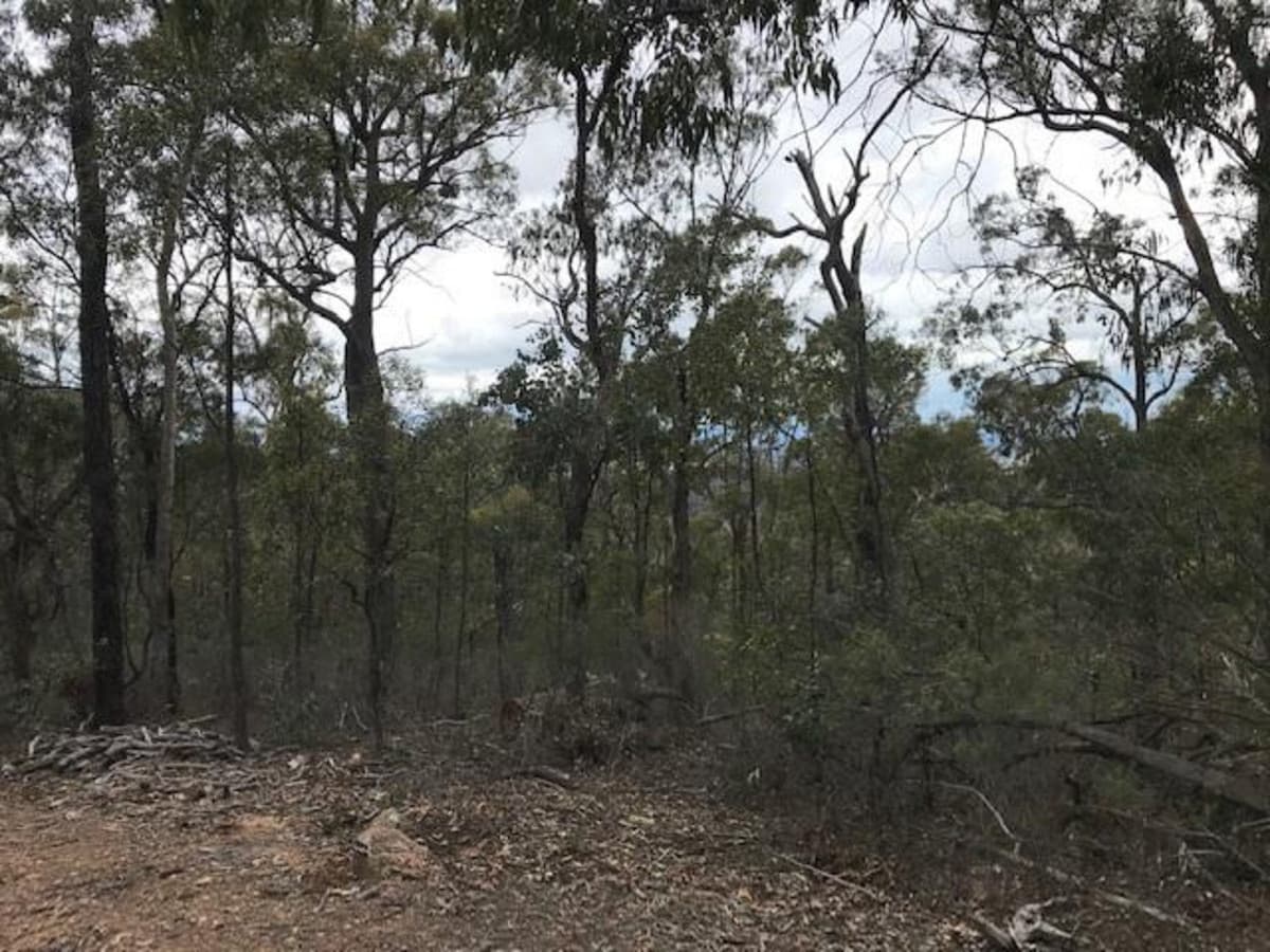 22A Hodges Road, COONGULLA, Coongulla - Thumbnail 2