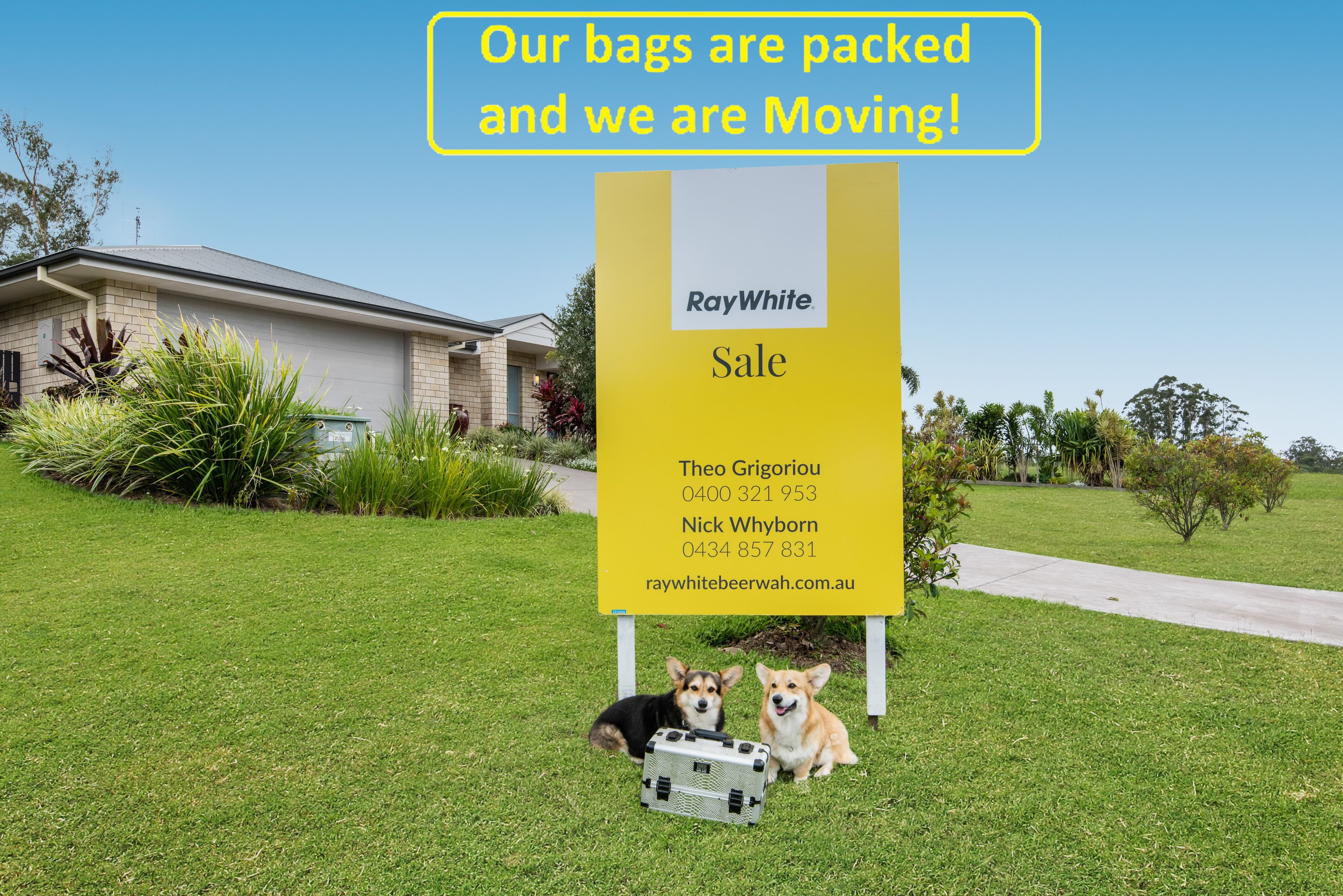 41 Romar Road, Glass House Mountains QLD 4518, Glass House Mountains - Thumbnail 2