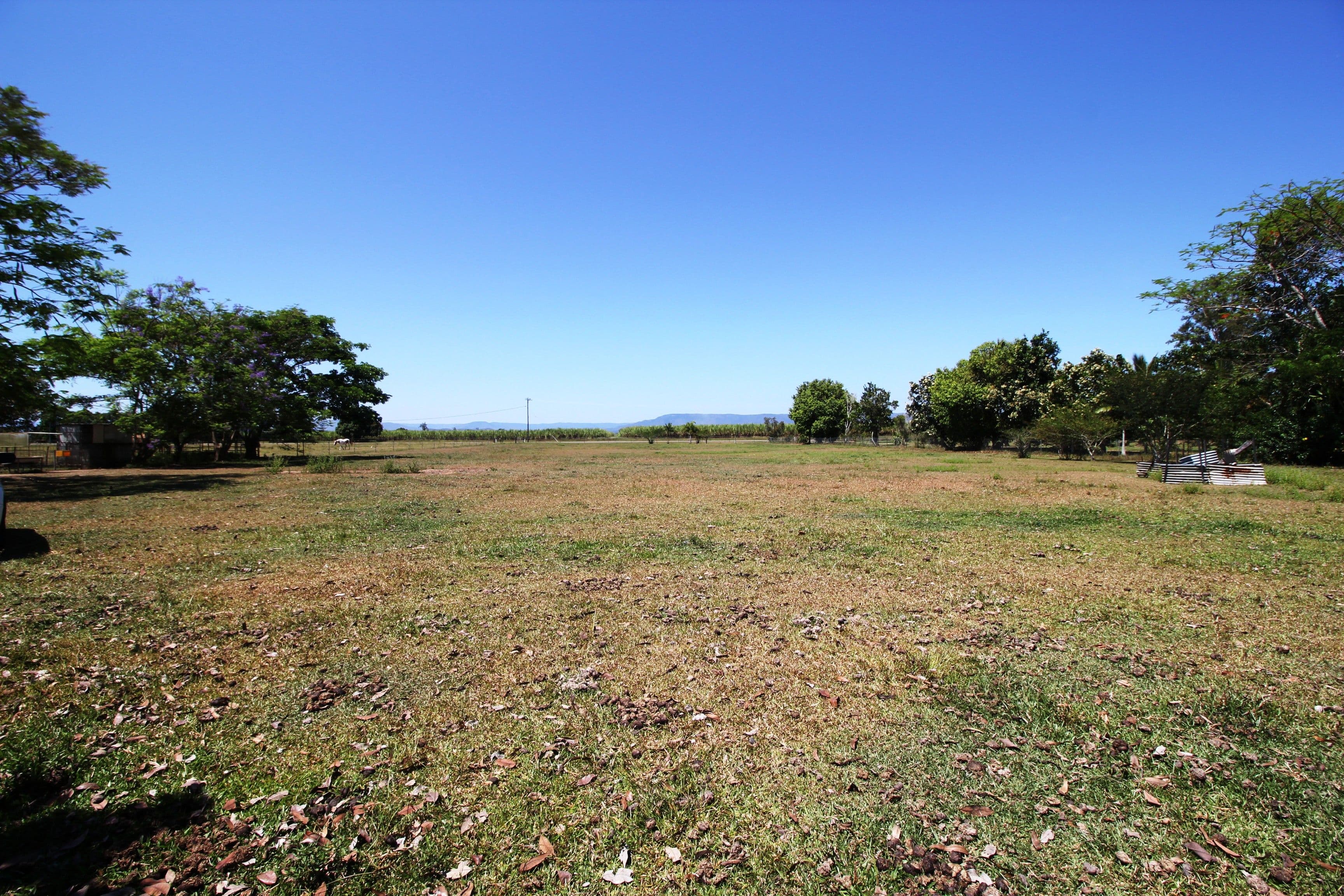 Lot 1 Abergowrie Road, Lannercost QLD 4850, Lannercost - Thumbnail 4