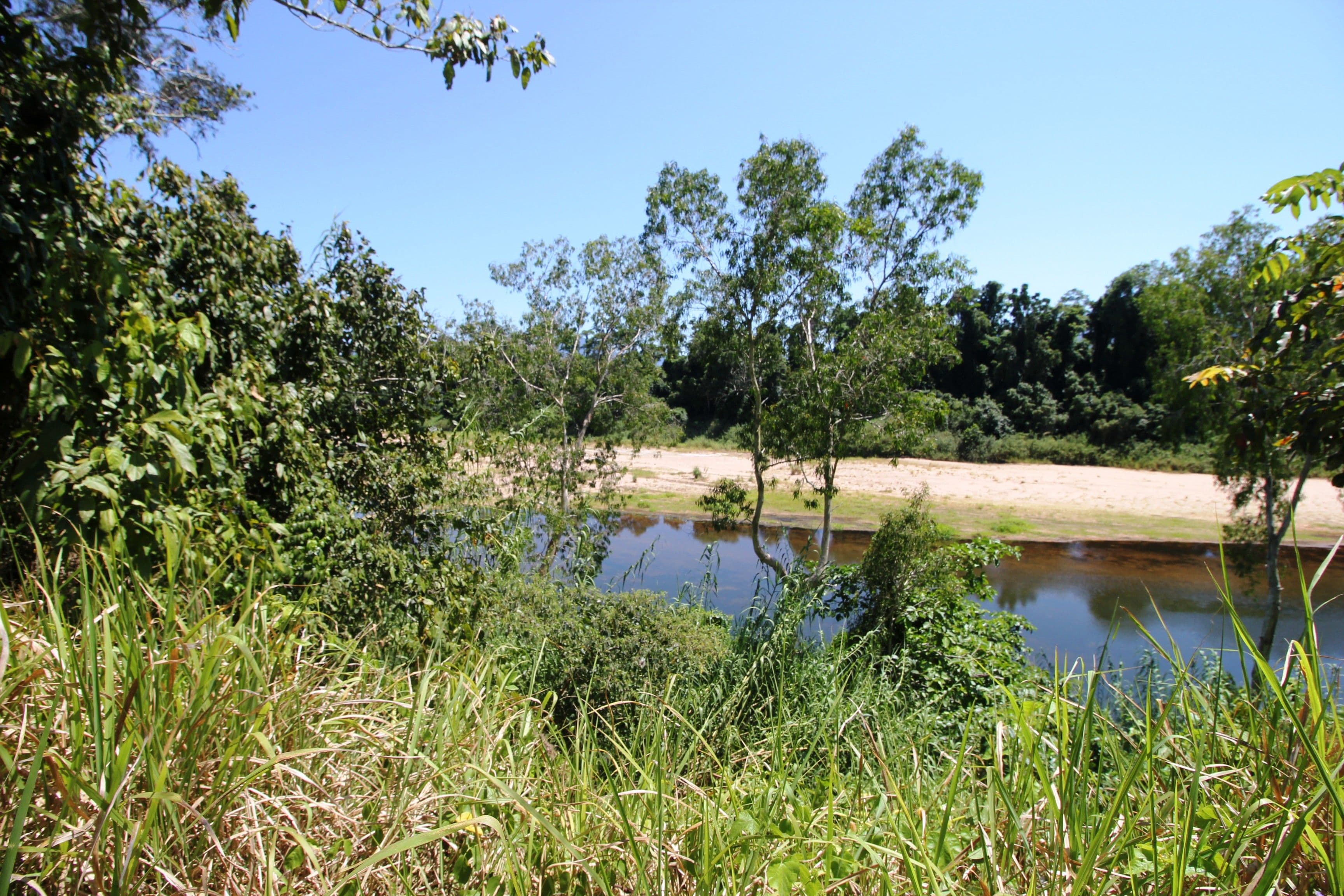 Lot 1 Abergowrie Road, Lannercost QLD 4850, Lannercost - Thumbnail 6