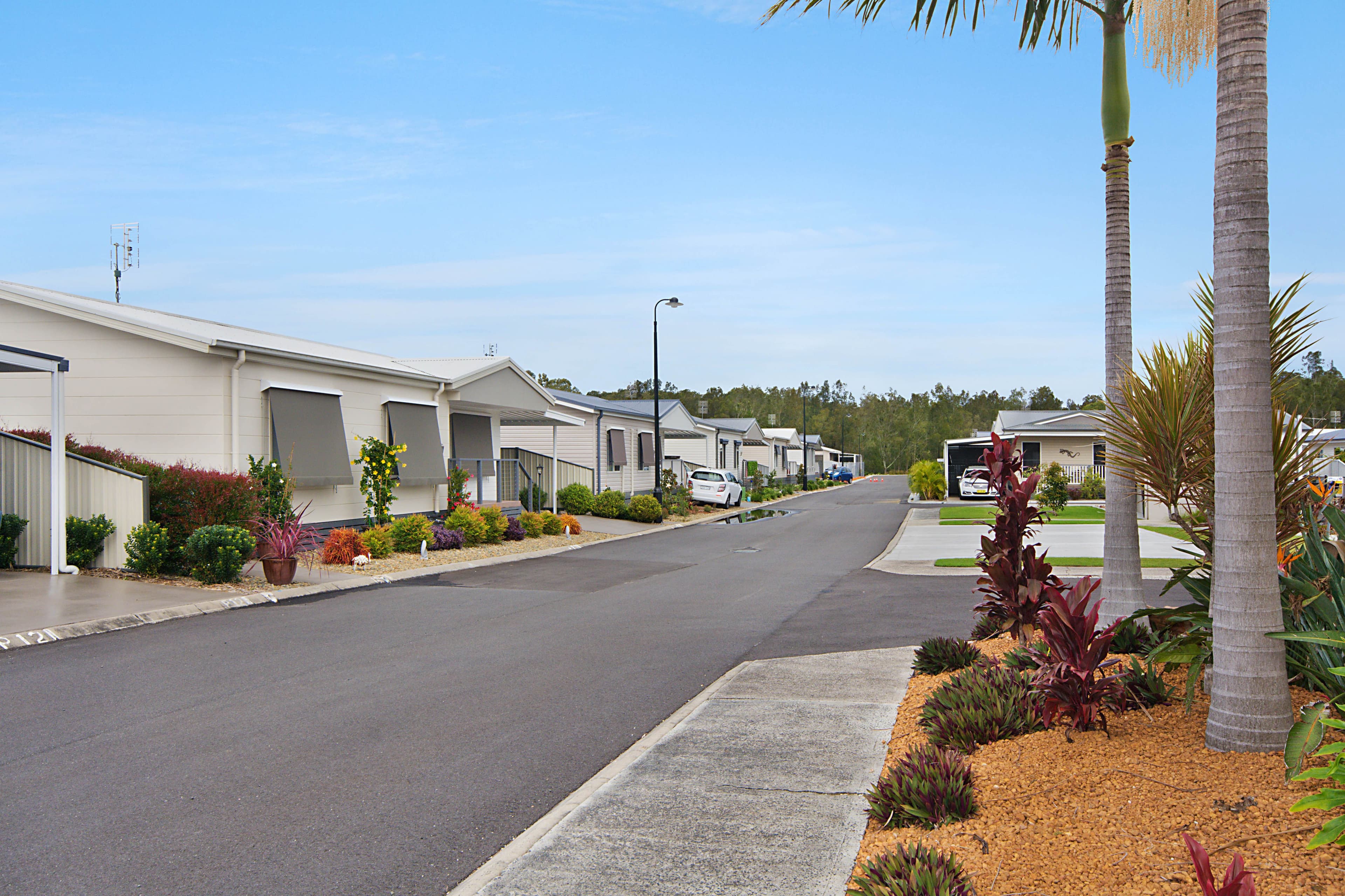 36 Golding Street, Yamba - Thumbnail 6