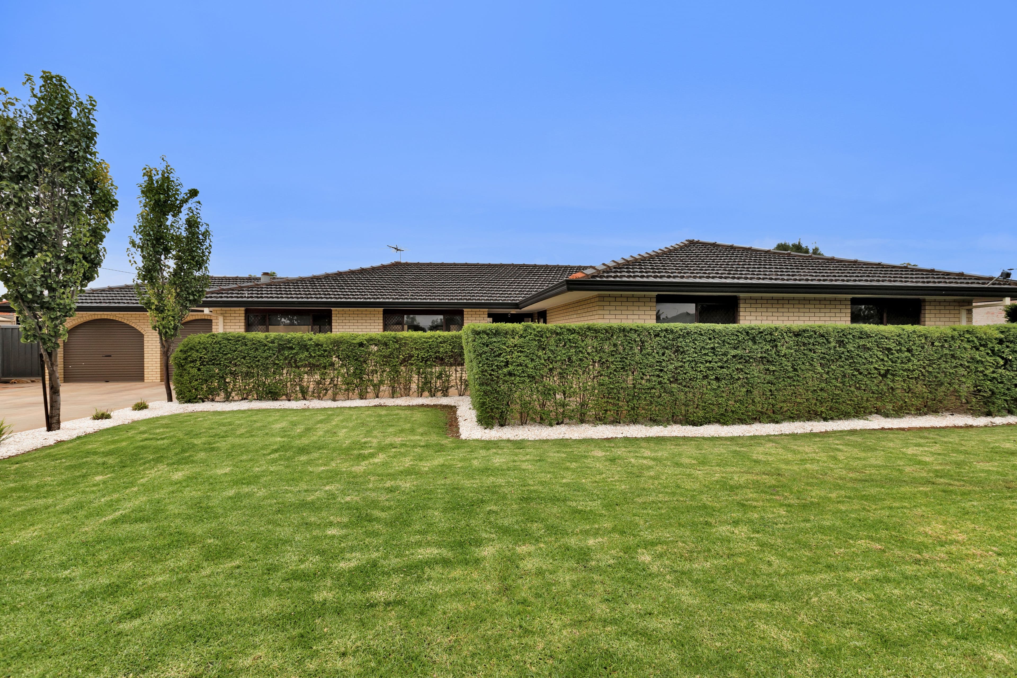 483 Walnut Avenue, Mildura VIC 3500, Mildura - Thumbnail 3