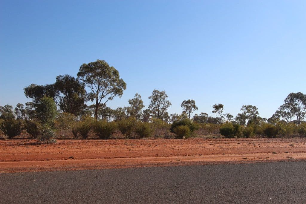 Lot 43 Caviar Drive, Charleville QLD 4470, Charleville - Image 1