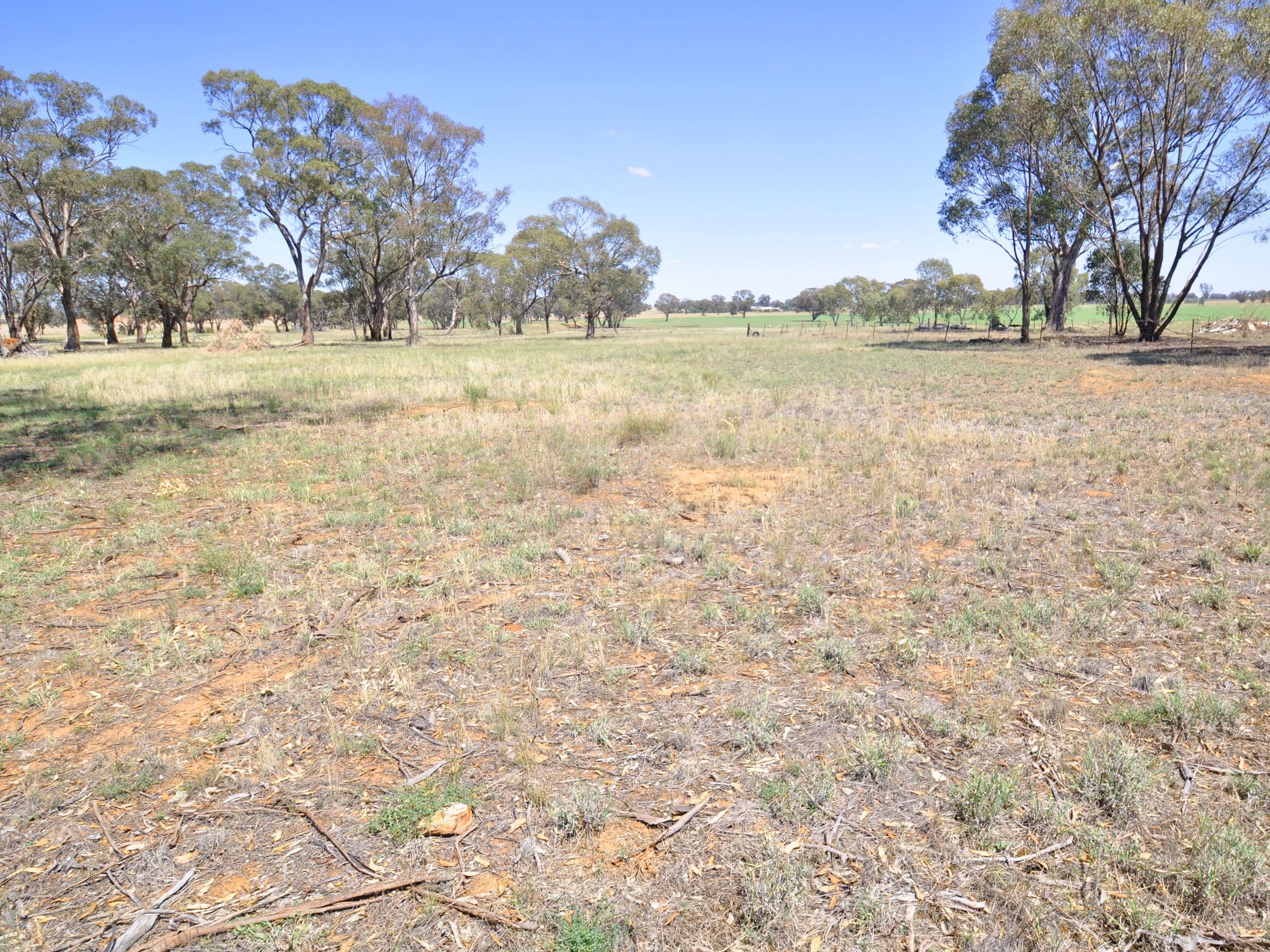 Lots 4 & 5 Layton Street, Illabo NSW 2590, Illabo - Thumbnail 2