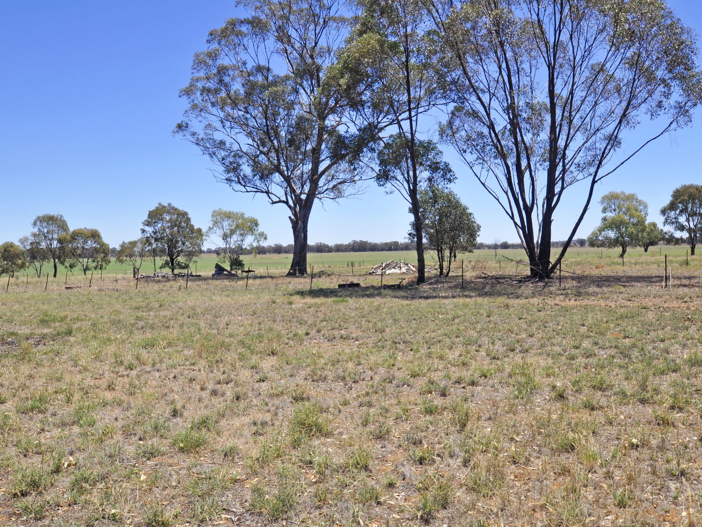 Lots 4 & 5 Layton Street, Illabo NSW 2590, Illabo - Thumbnail 3