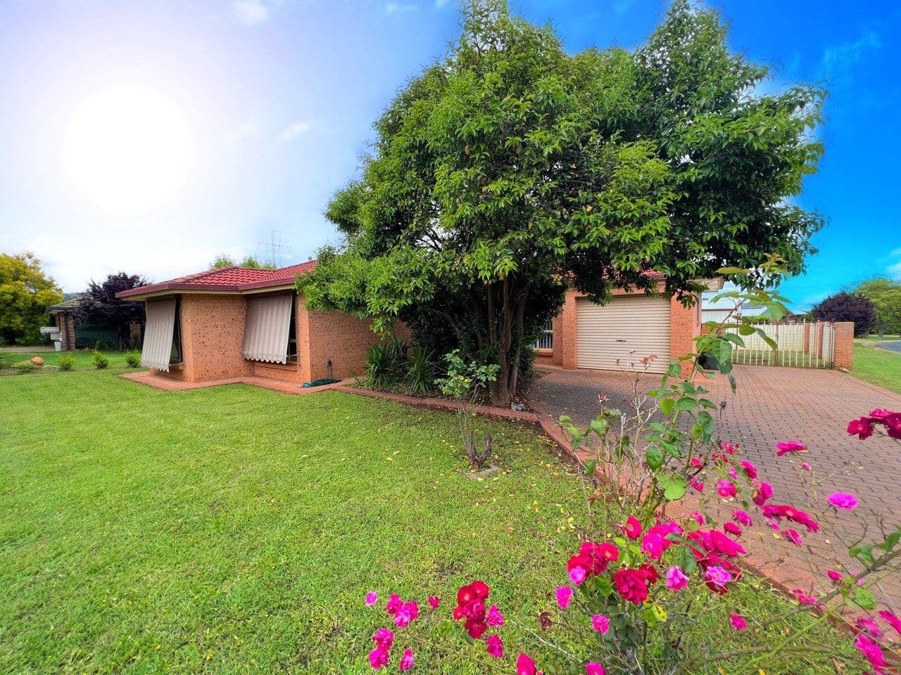 19 Danilenko Street, Parkes NSW 2870, Parkes - Image 1