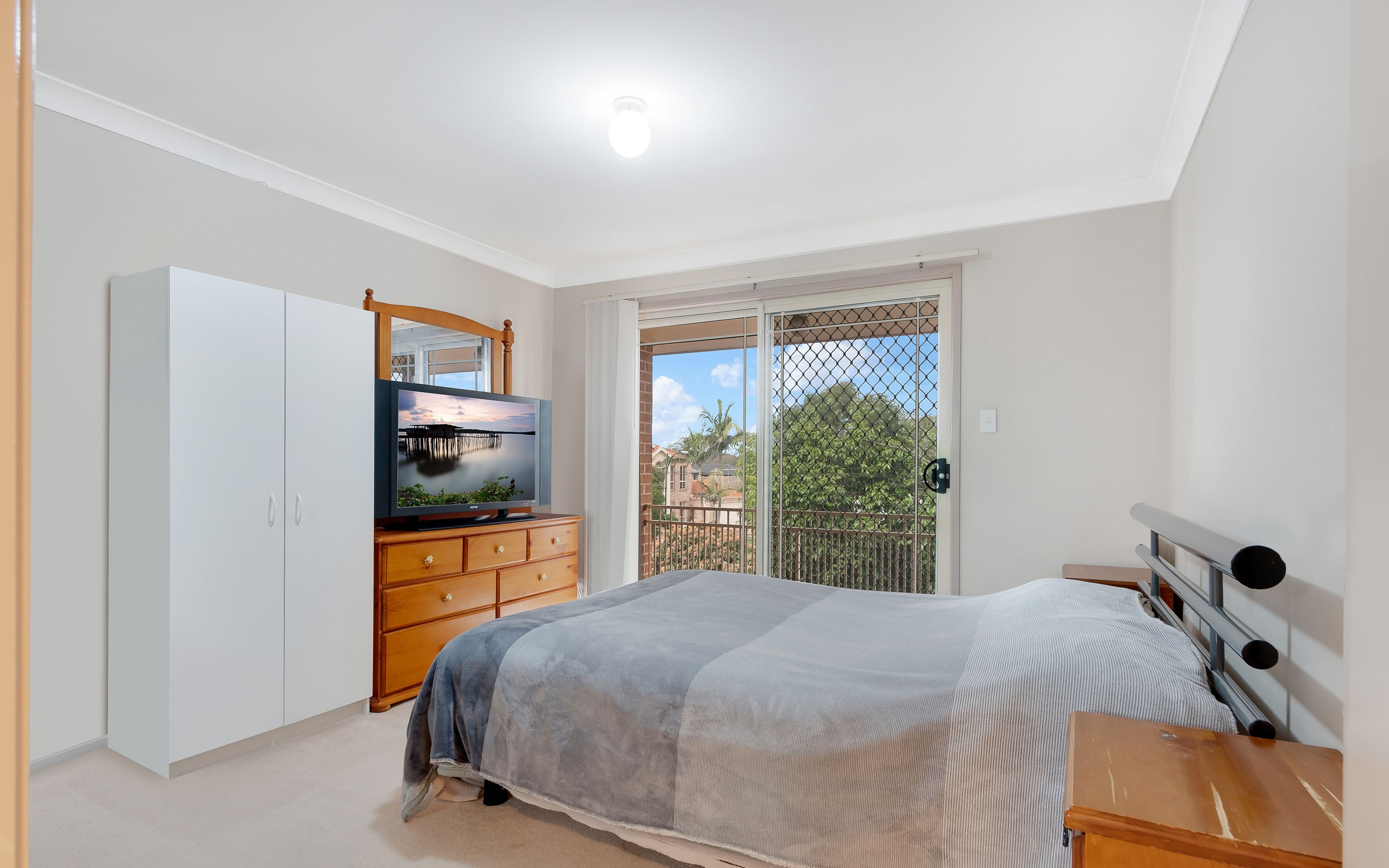 20 Packard Place, Horningsea Park NSW 2171, Horningsea Park - Thumbnail 4