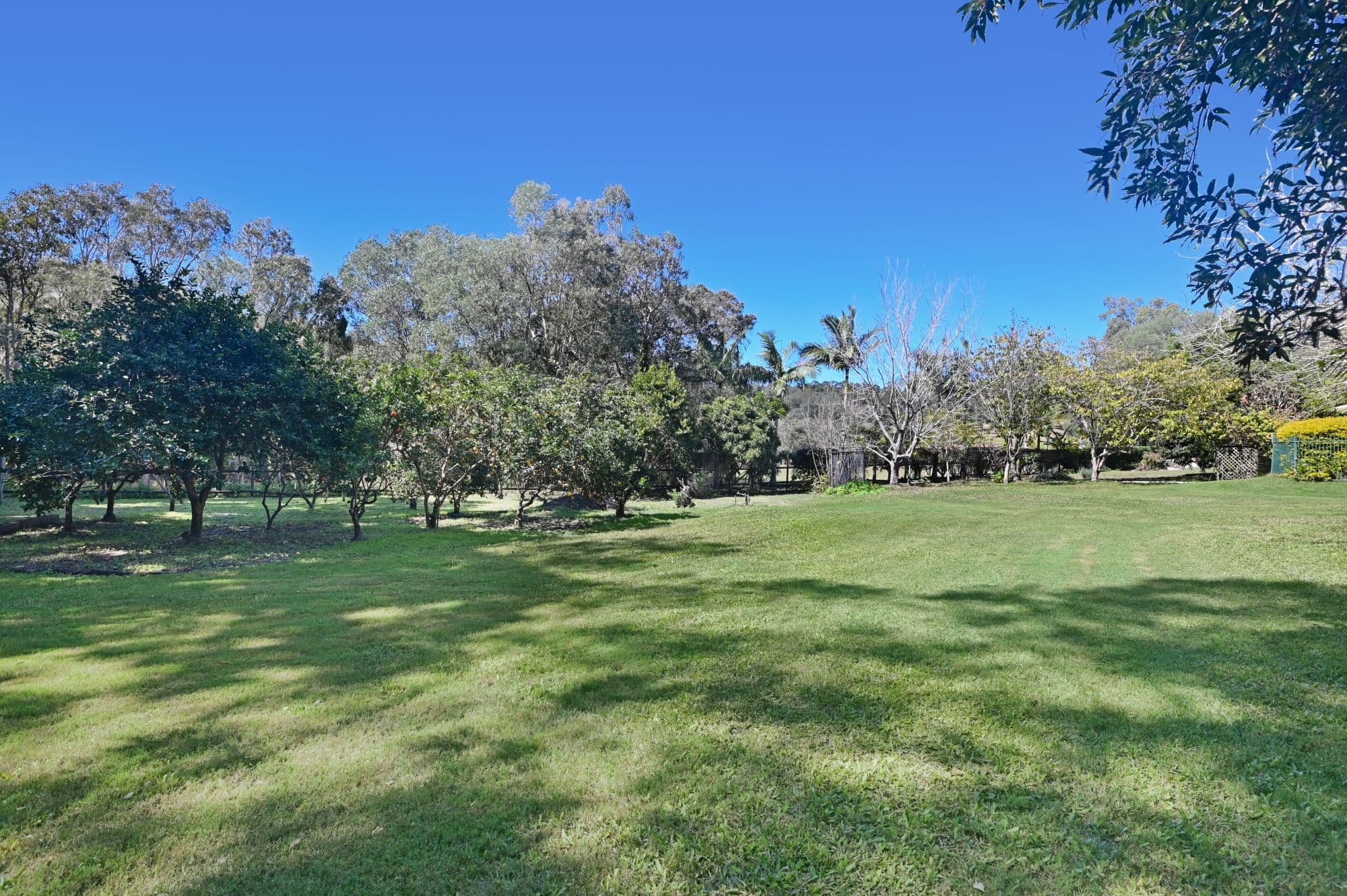 5 Corella Avenue, Samford Valley QLD 4520, Samford Valley - Thumbnail 3