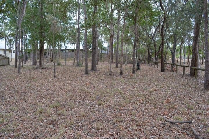 19 Parraweena Court, POINT VERNON QLD 4655, Point Vernon - Thumbnail 3