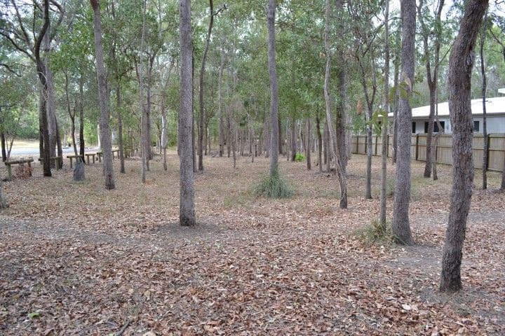 19 Parraweena Court, POINT VERNON QLD 4655, Point Vernon - Thumbnail 4