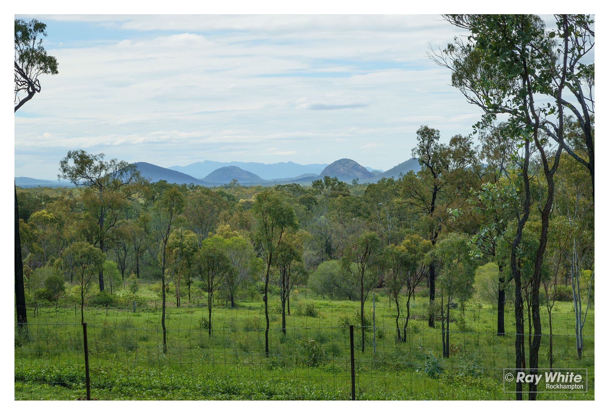 142 Caporn Road, Limestone Creek QLD 4701, Limestone Creek - Thumbnail 5