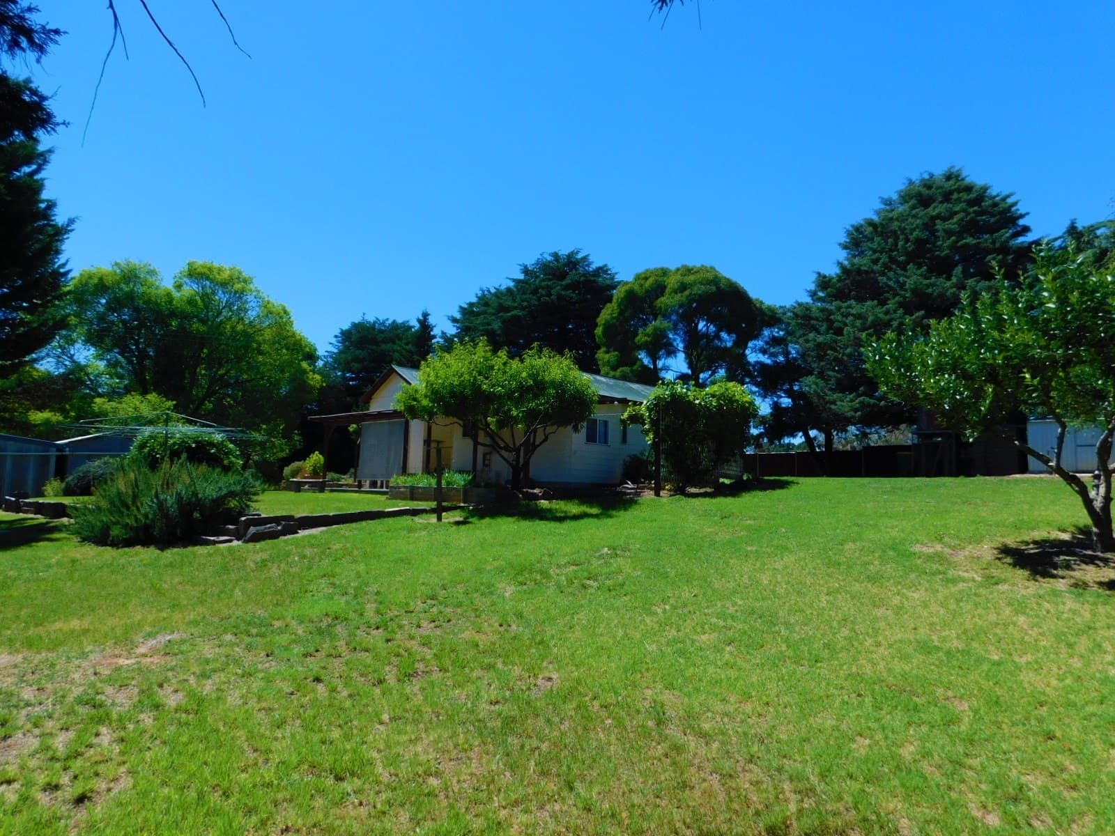 16 Delegate Road, Bombala, Bombala - Thumbnail 2