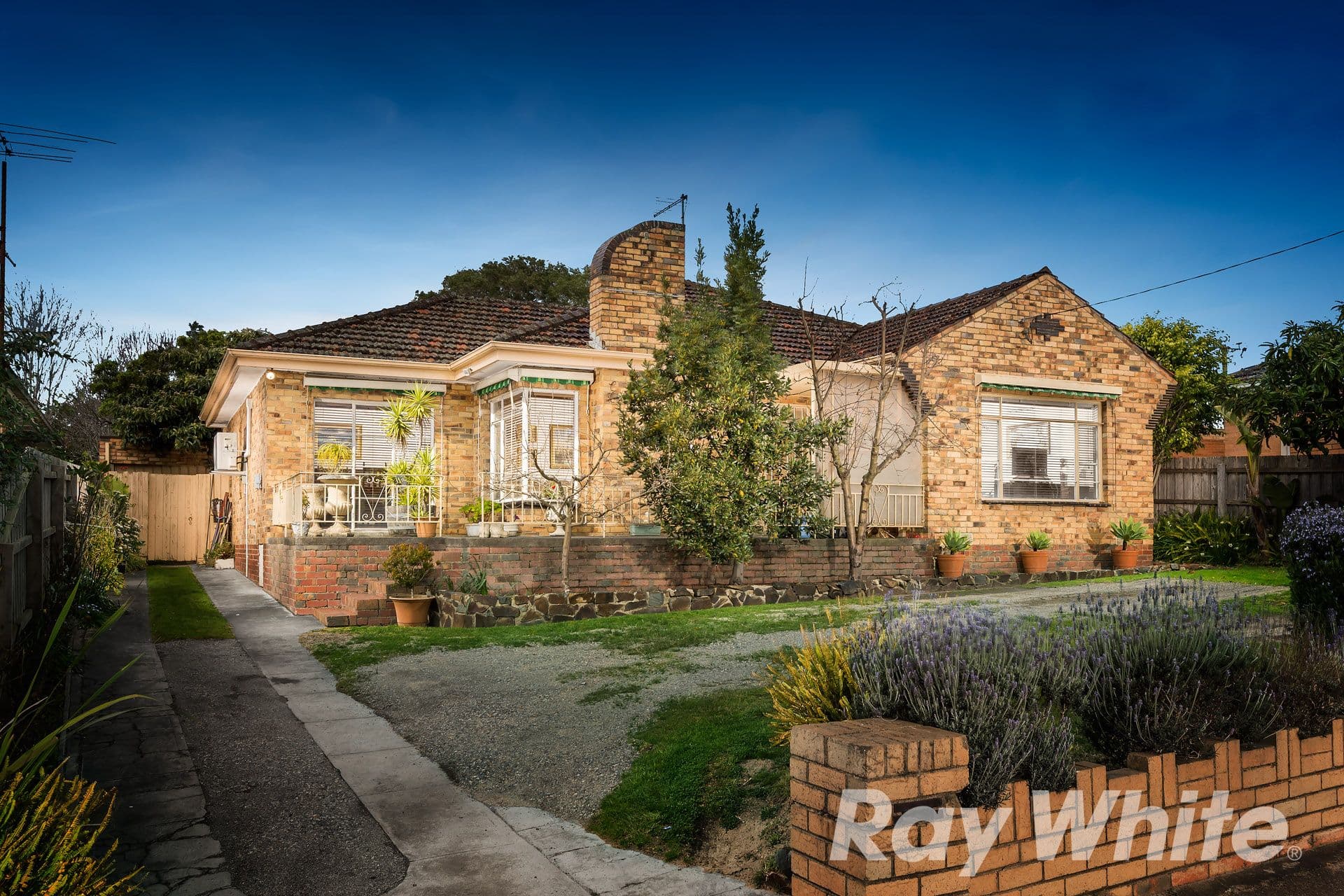87 Warrigal Road, Surrey Hills VIC 3127, Surrey Hills - Image 1