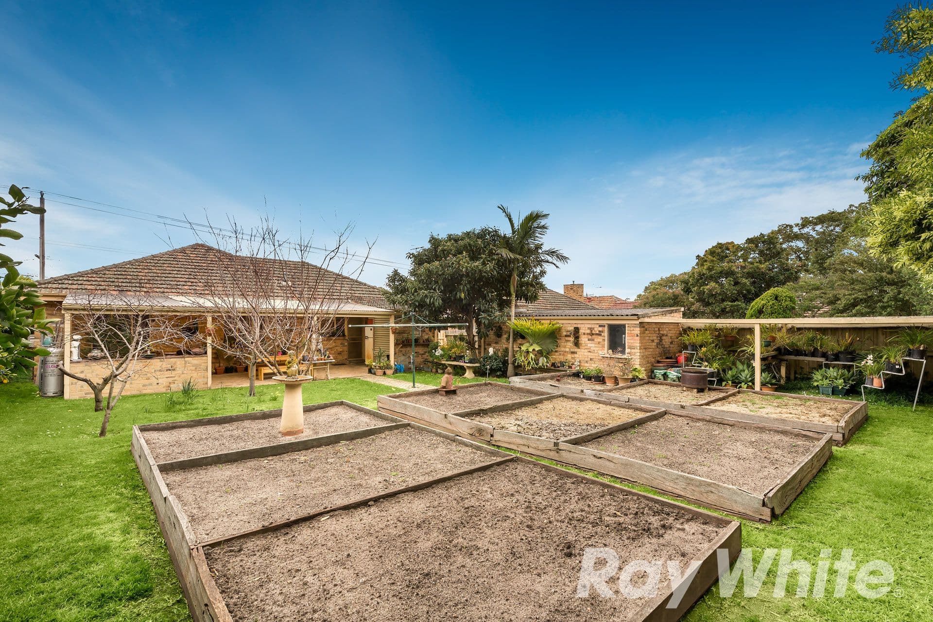 87 Warrigal Road, Surrey Hills VIC 3127, Surrey Hills - Thumbnail 8
