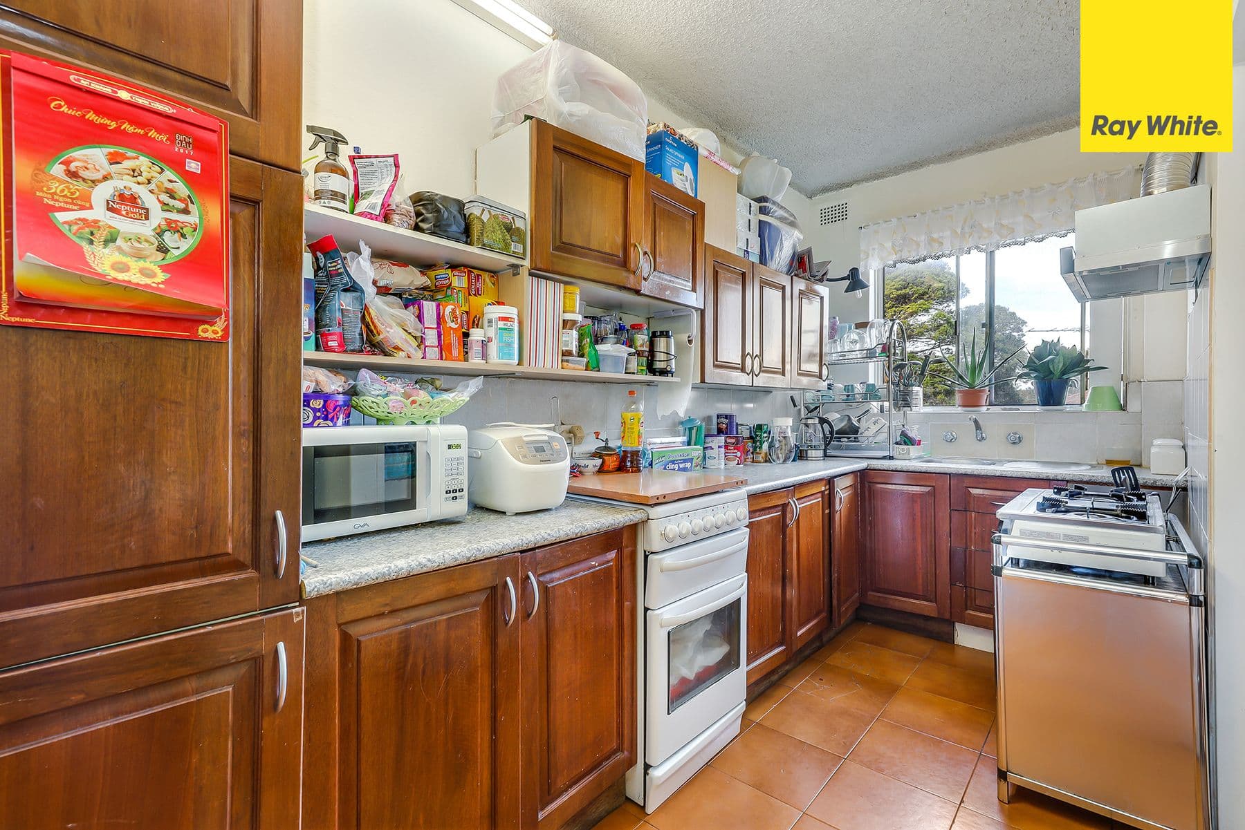 76 Rossmore Avenue, Punchbowl NSW 2196, Punchbowl - Thumbnail 2