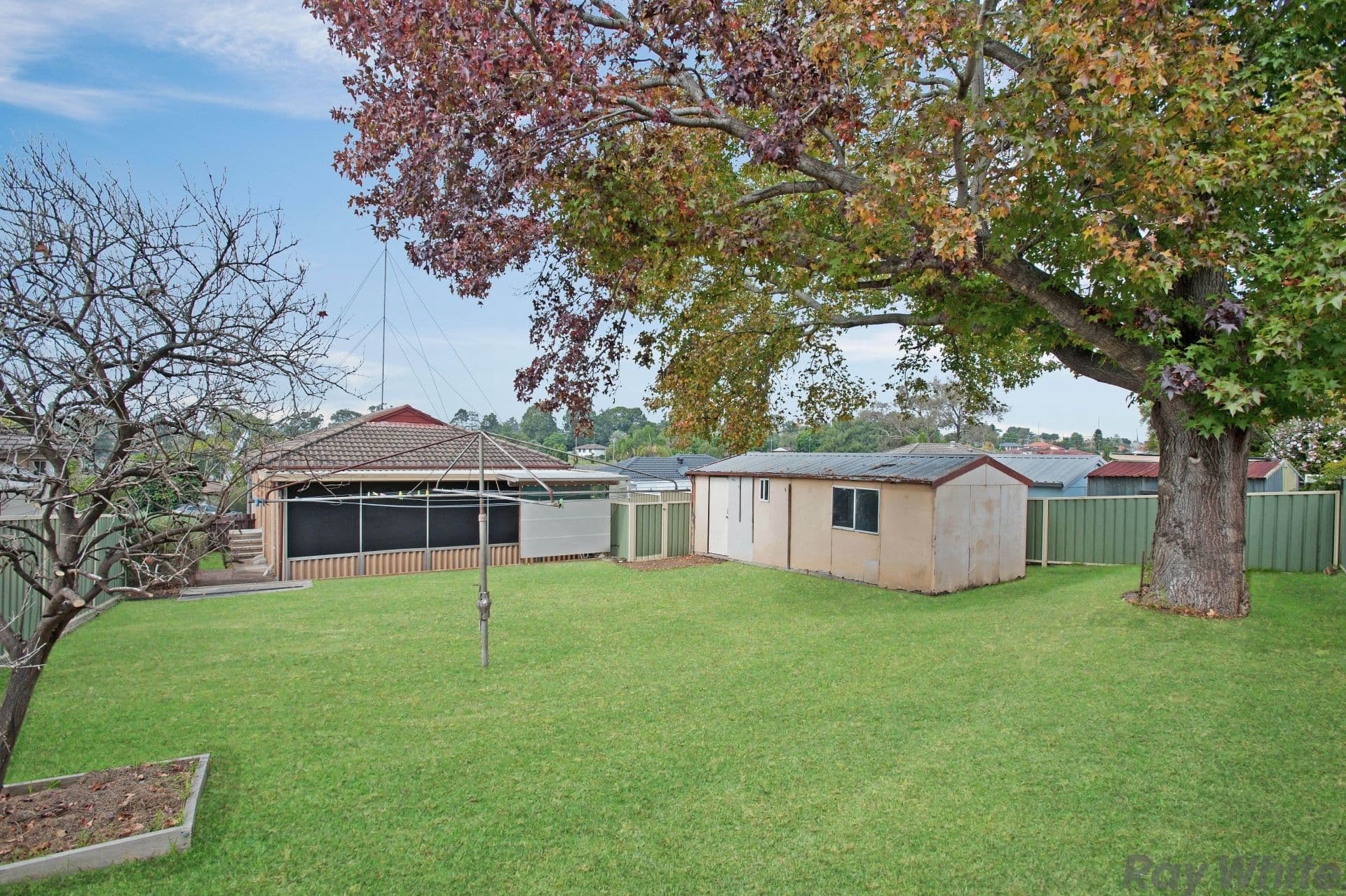 28 Hague Street, Rutherford - Thumbnail 6