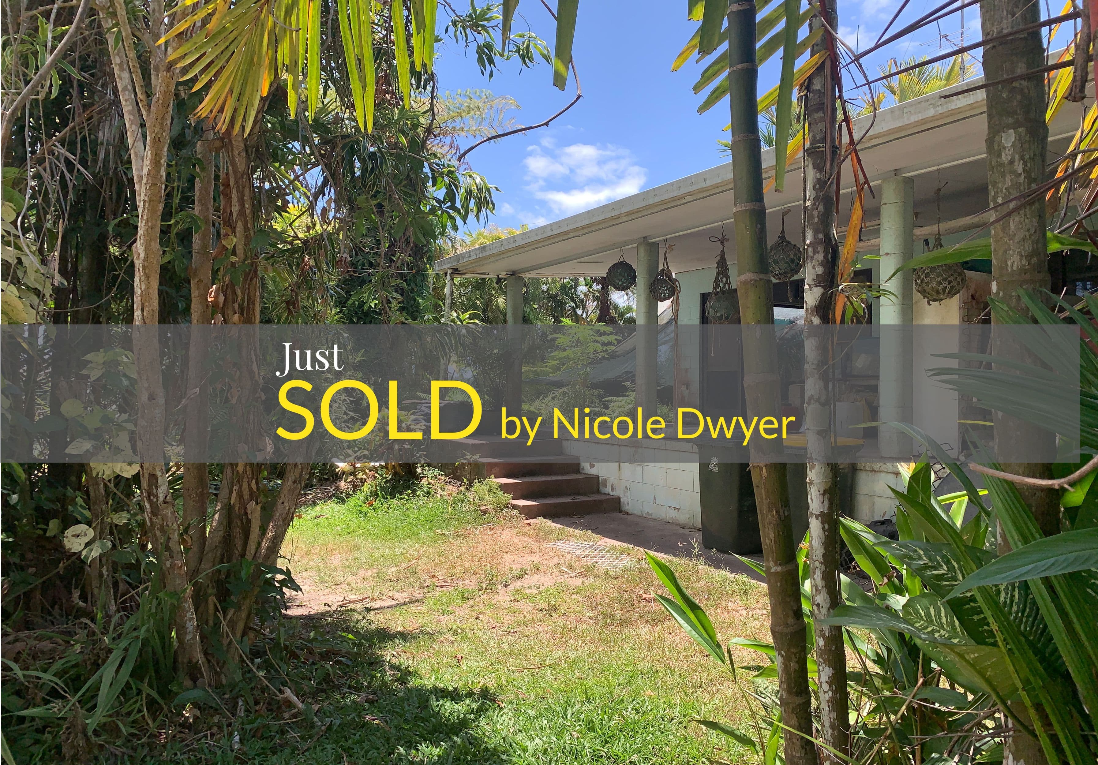 49 McDowall Lane, Daintree QLD 4873, Lower Daintree - Image 1
