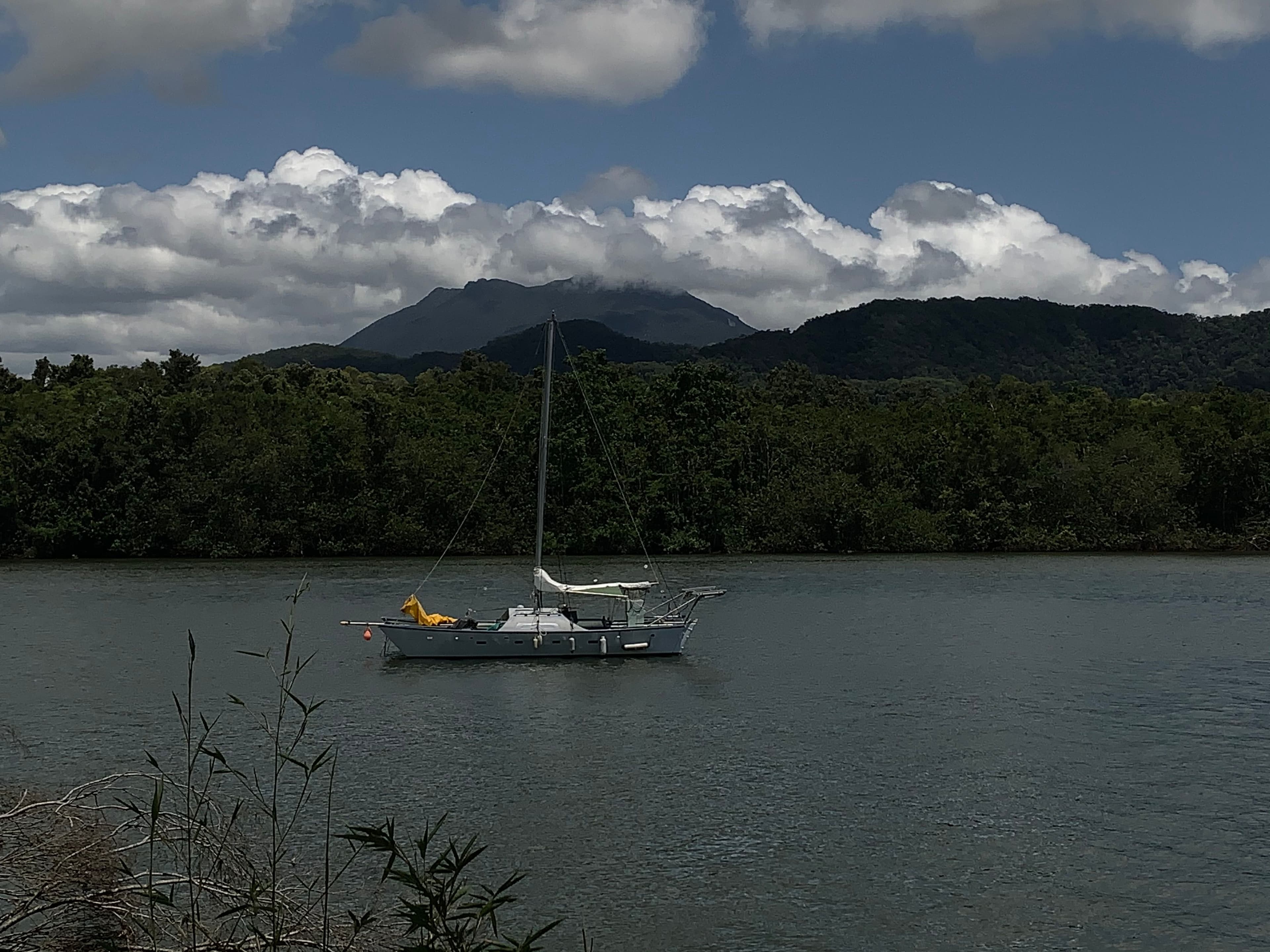49 McDowall Lane, Daintree QLD 4873, Lower Daintree - Thumbnail 6