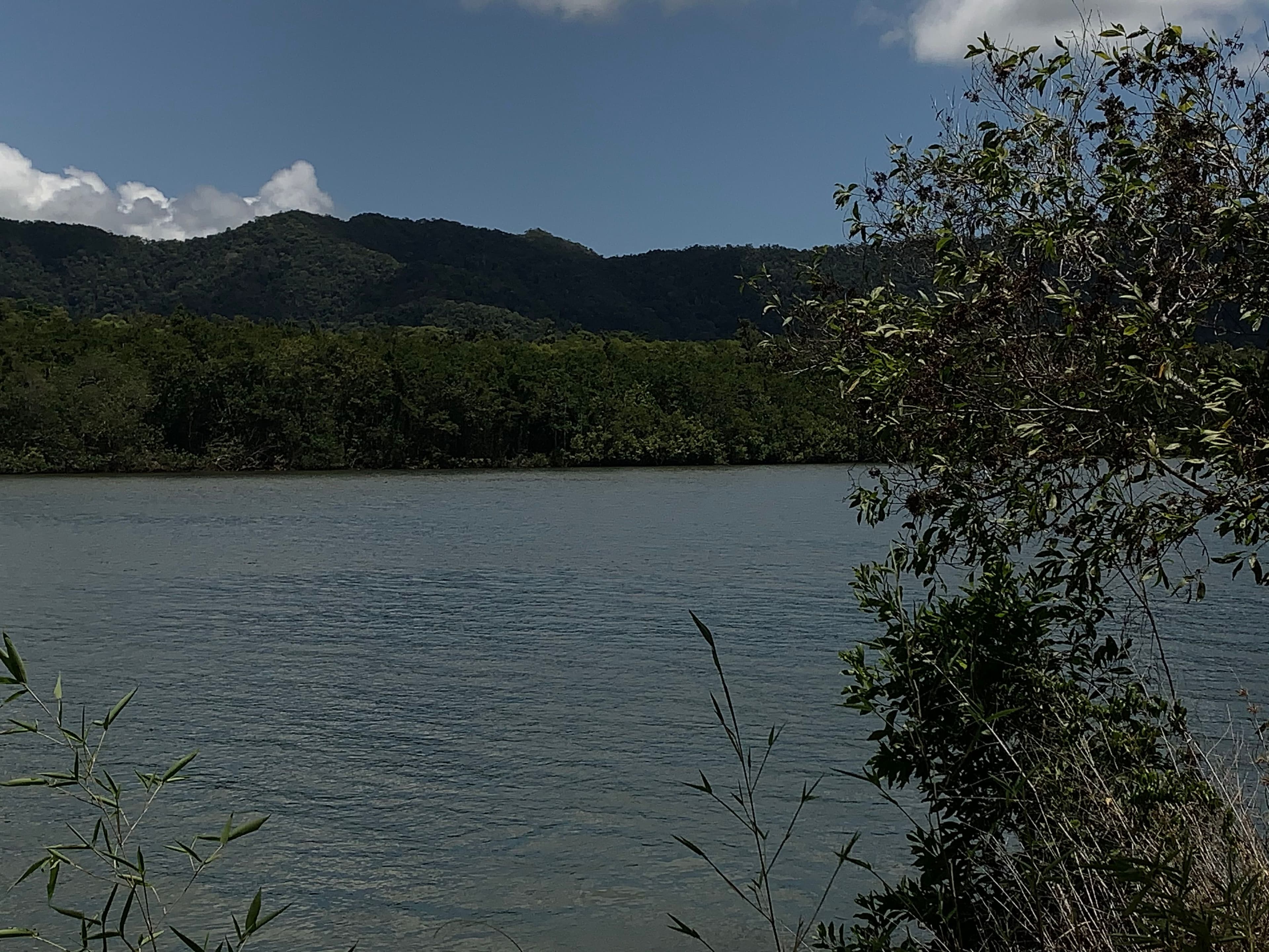 49 McDowall Lane, Daintree QLD 4873, Lower Daintree - Thumbnail 7