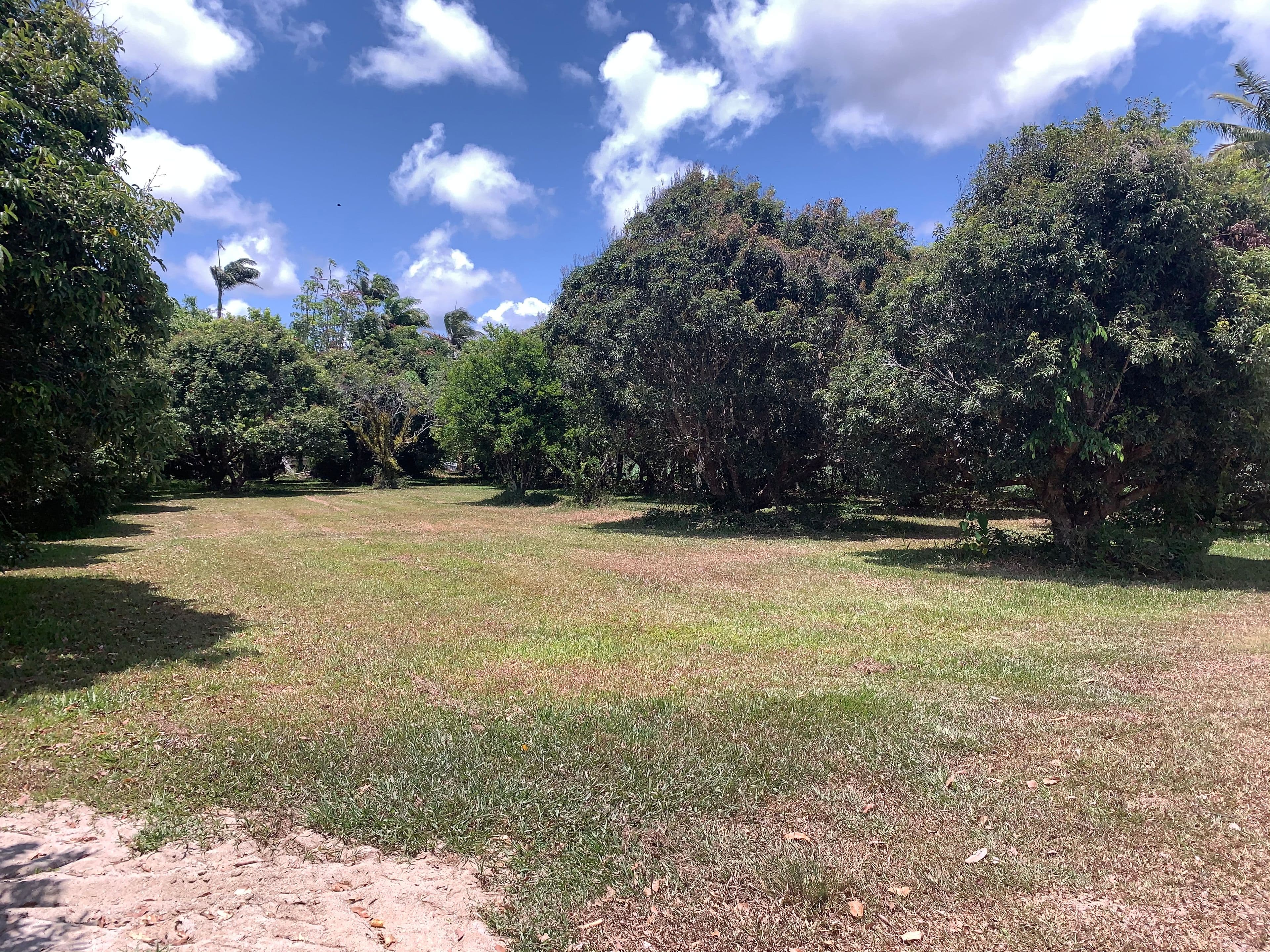 49 McDowall Lane, Daintree QLD 4873, Lower Daintree - Thumbnail 8