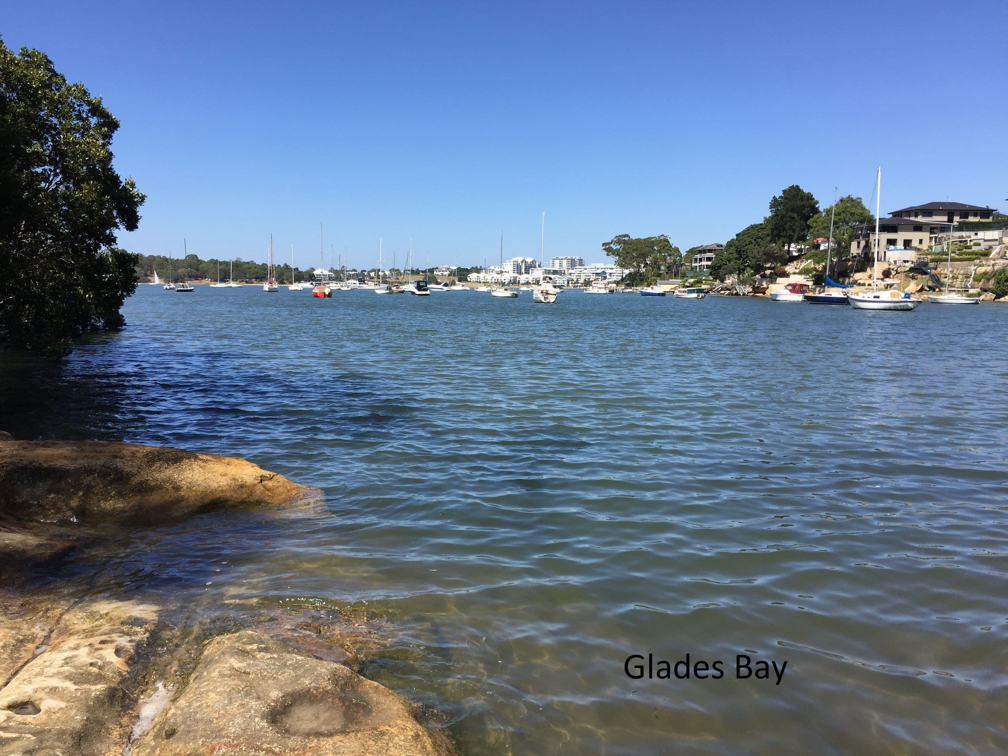 15 Linsley Street, Gladesville NSW 2111, Gladesville - Thumbnail 7