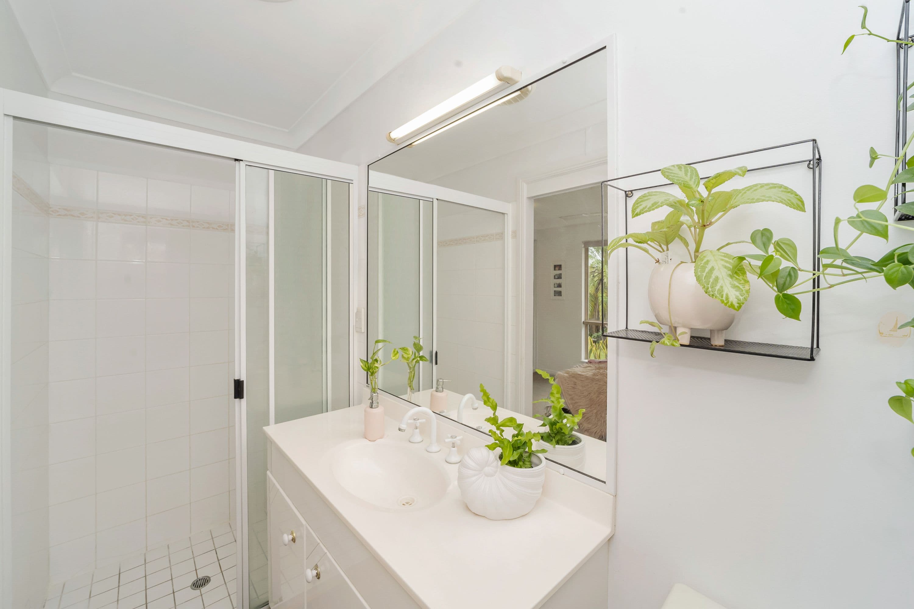17 Woodbine Drive, Annandale QLD 4814, Annandale - Thumbnail 7