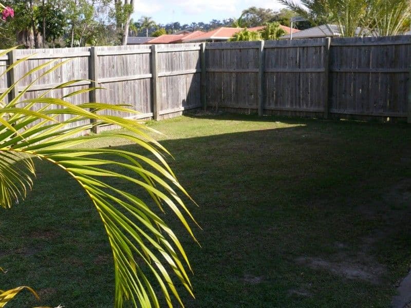 19 Parkes Drive, HELENSVALE QLD 4212, Helensvale - Thumbnail 5