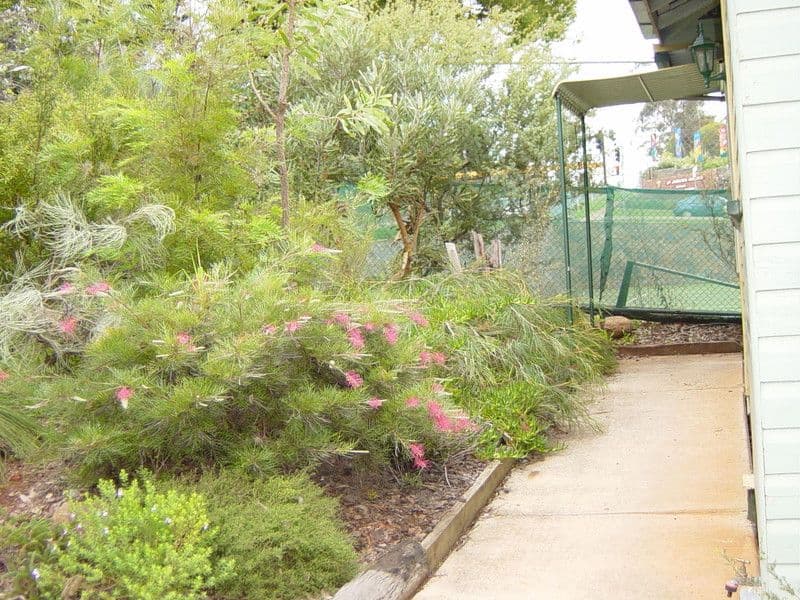 58 James Street, RANGEVILLE QLD 4350, Rangeville - Thumbnail 7
