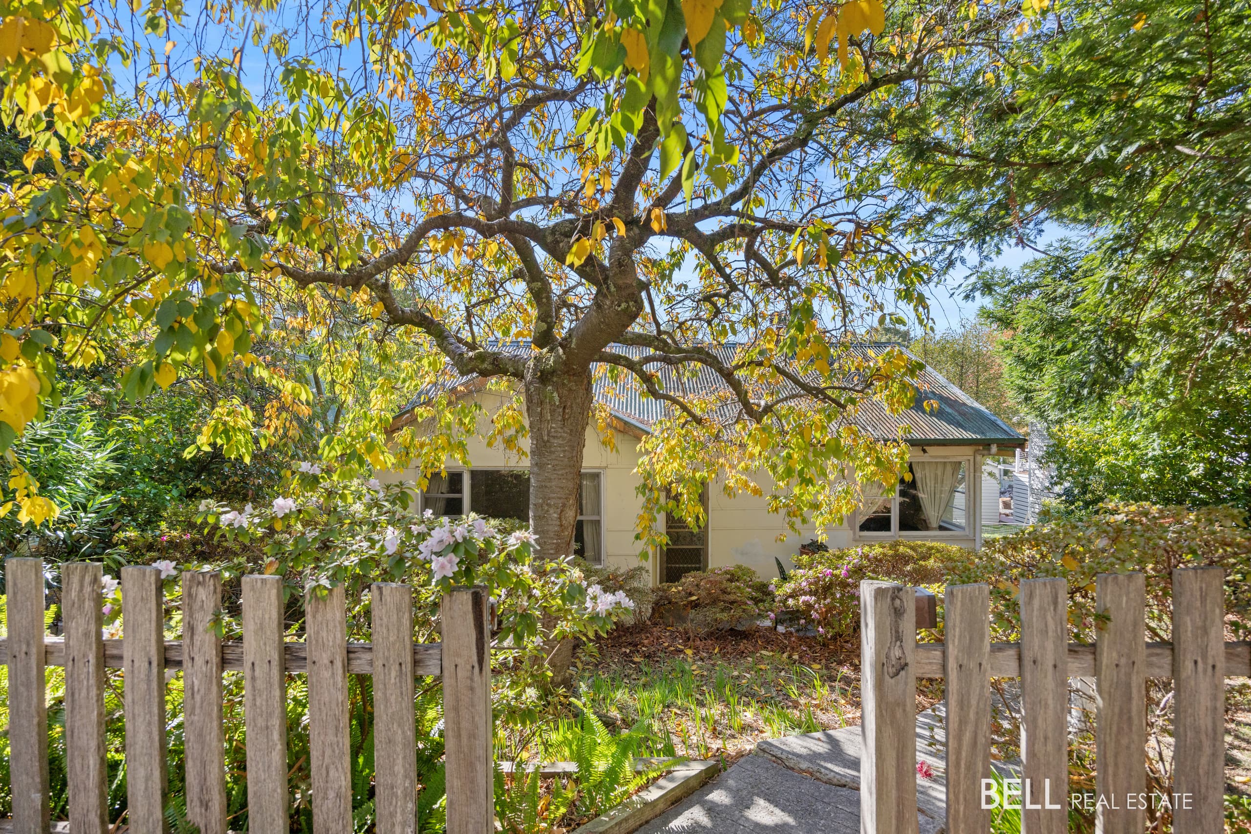 28 Riverside Drive, WARBURTON, Warburton - Image 1