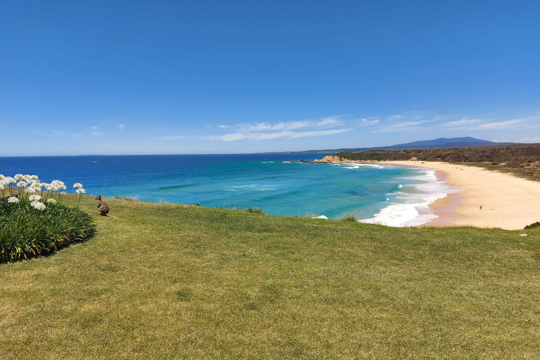 46 Long Point Street, Potato Point, Potato Point - Thumbnail 7