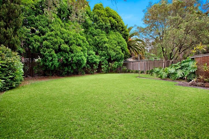 48 Sutherland Street, LANE COVE NSW 2066, Lane Cove - Thumbnail 4