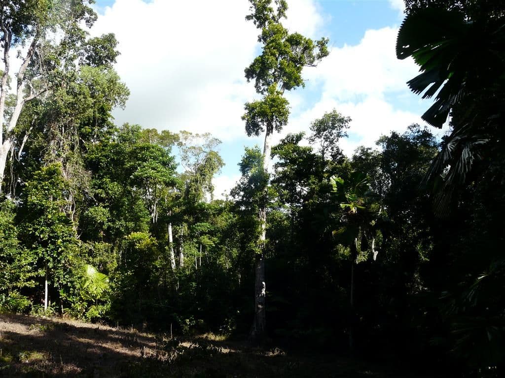 Lot 28 Waterfall Place, Jubilee Heights QLD 4860, Jubilee Heights - Image 1