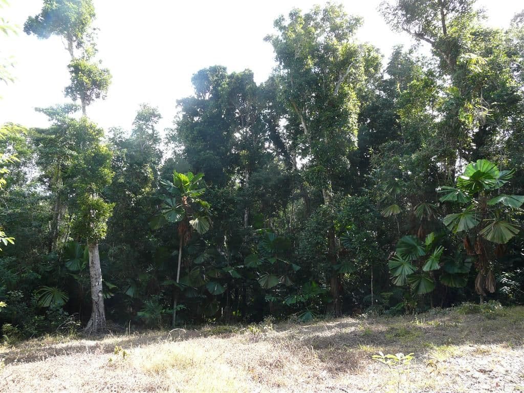 Lot 28 Waterfall Place, Jubilee Heights QLD 4860, Jubilee Heights - Thumbnail 2