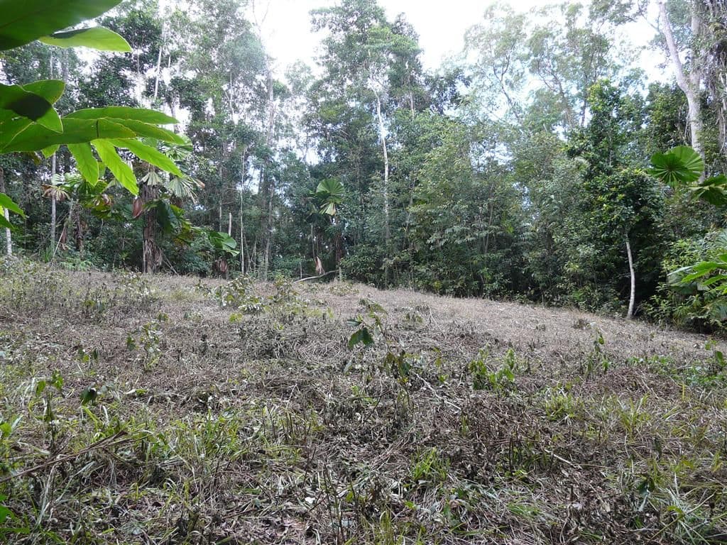 Lot 28 Waterfall Place, Jubilee Heights QLD 4860, Jubilee Heights - Thumbnail 4