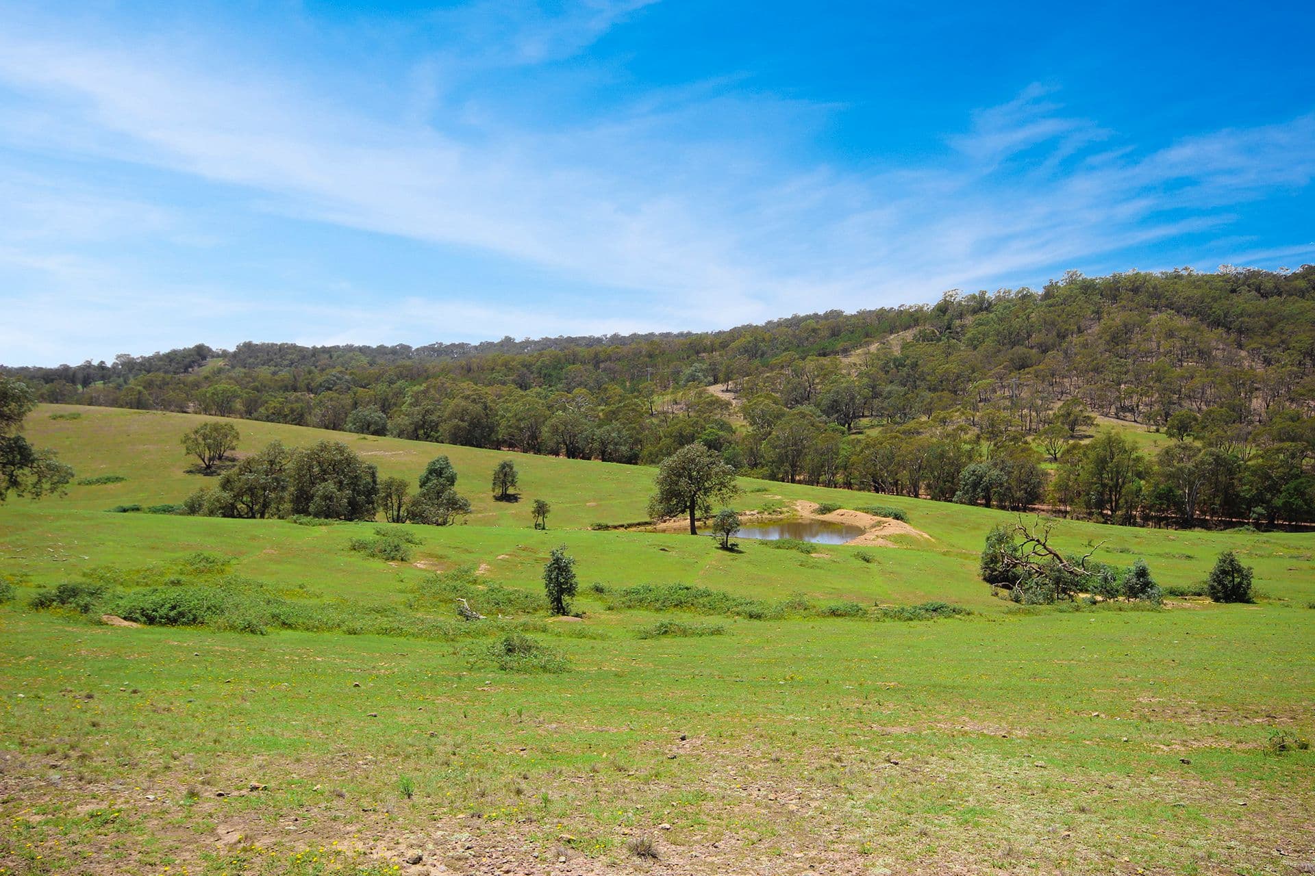 787 Inverary Road, Paddys River NSW 2577, Paddys River - Image 1