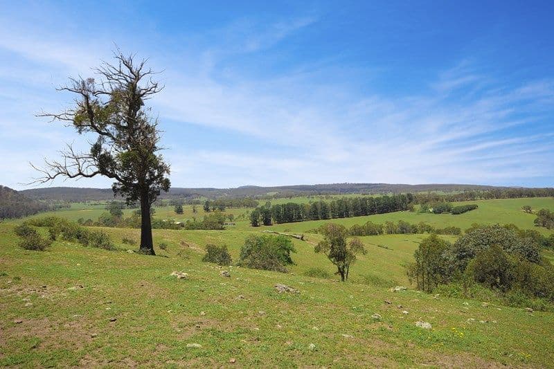 787 Inverary Road, Paddys River NSW 2577, Paddys River - Thumbnail 5