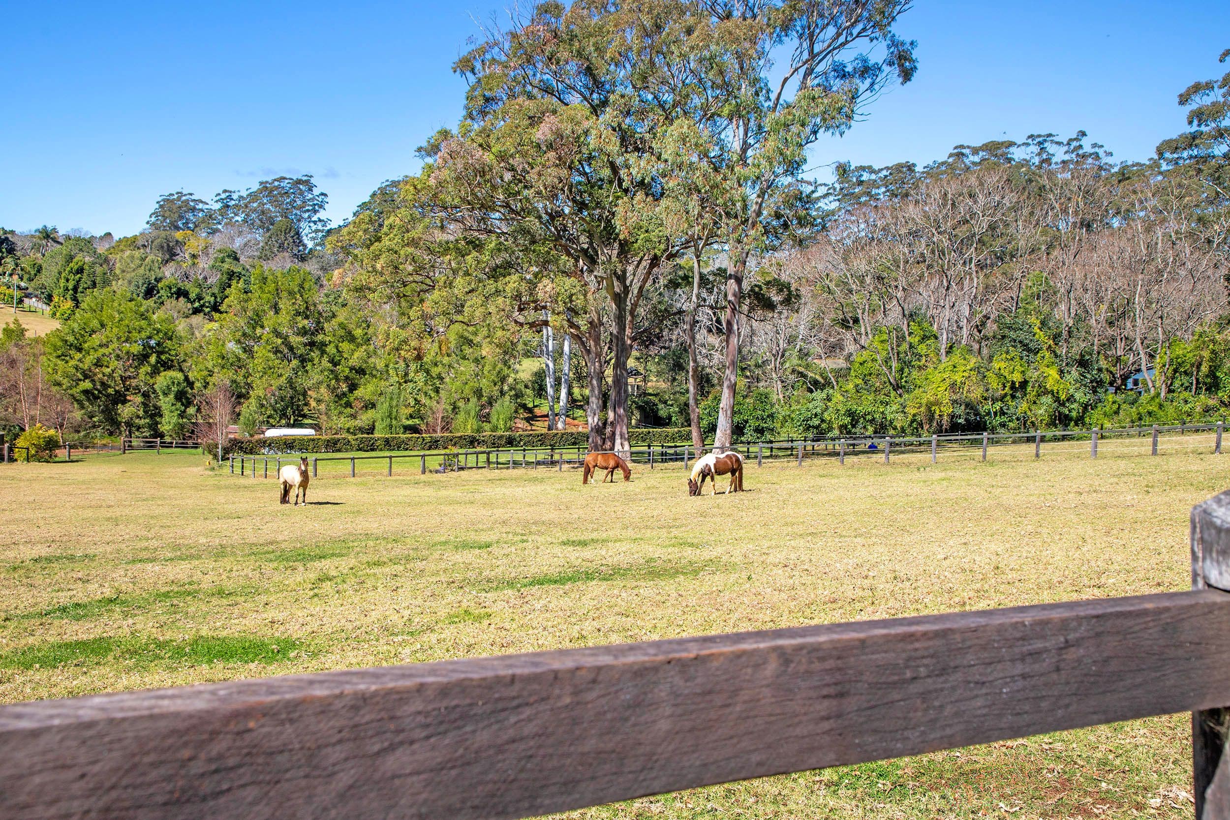 206 Main Western Road, Tamborine Mountain QLD 4272, Tamborine Mountain - Thumbnail 6