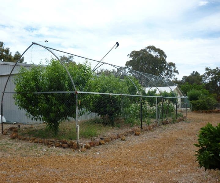 24 Jarrahwood Glen, BULLSBROOK WA 6084, Bullsbrook - Thumbnail 5