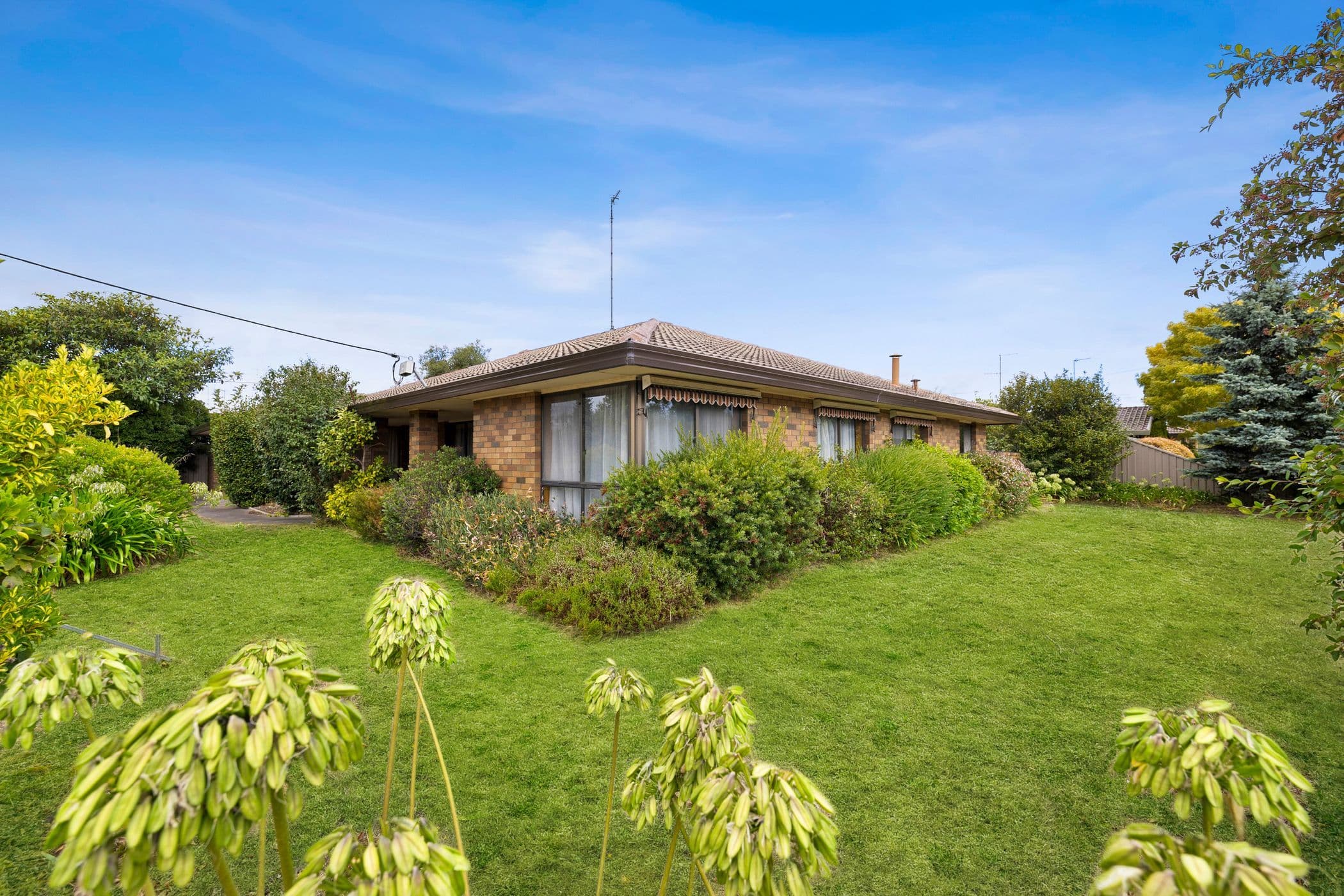 6 Cedar Avenue, Alfredton VIC 3350, Alfredton - Thumbnail 2