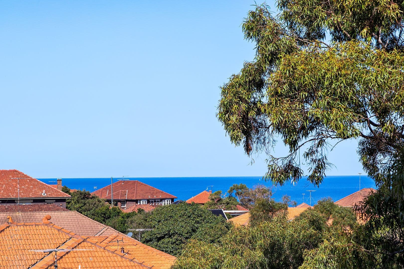 172-180 Clovelly Road, Randwick NSW 2031, Randwick - Thumbnail 2