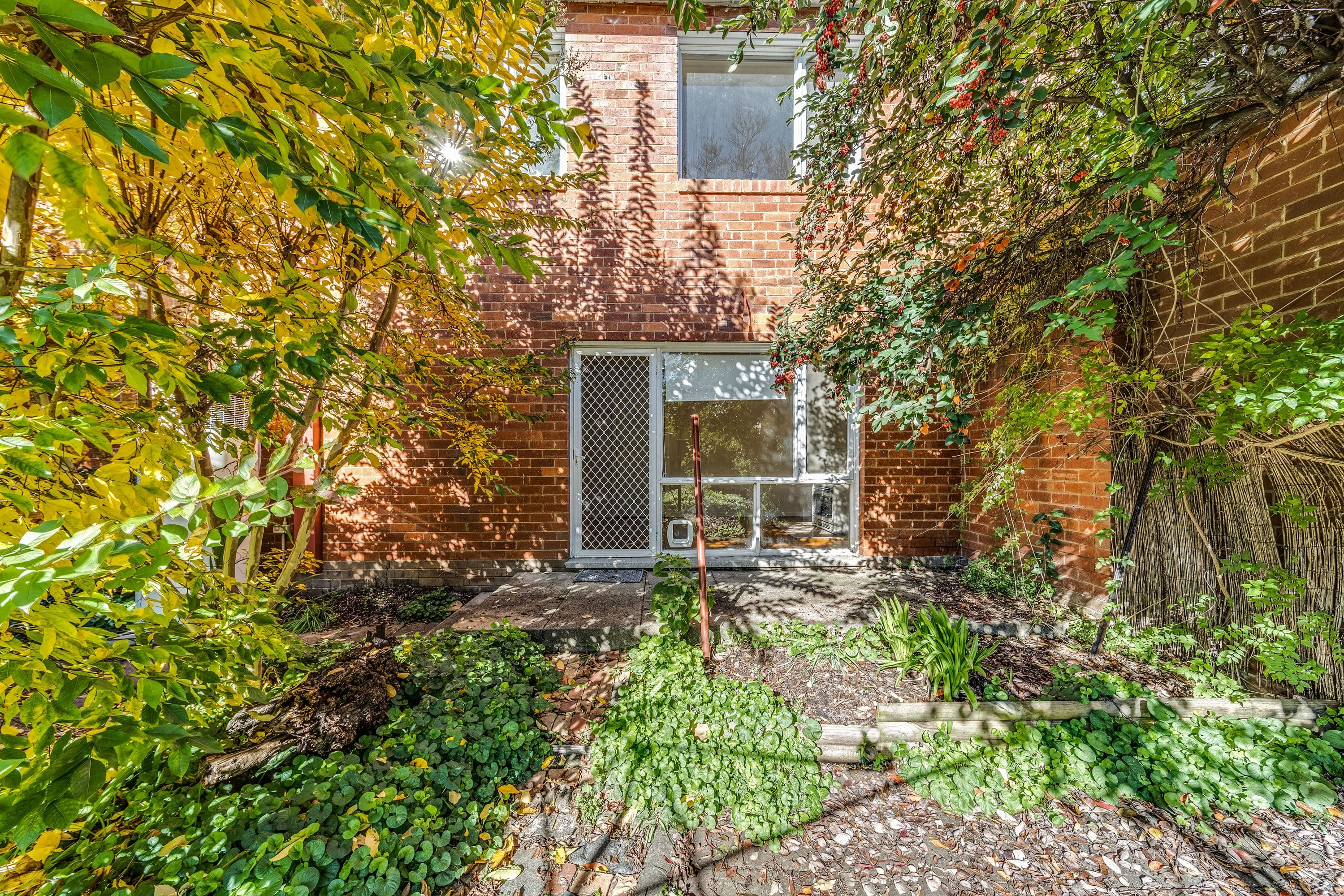 3 Boyd Street, Lyneham ACT 2602, Lyneham - Image 1