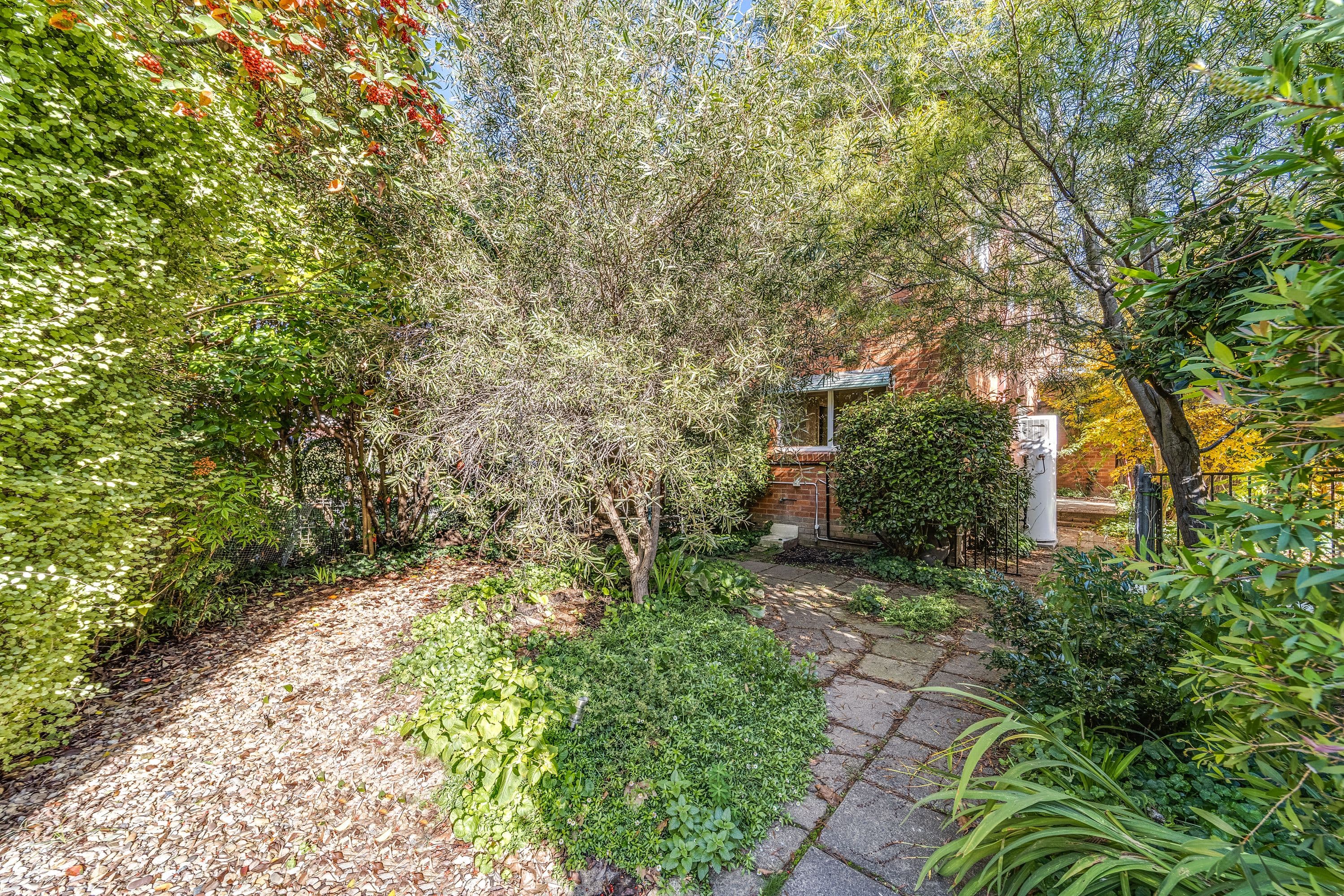 3 Boyd Street, Lyneham ACT 2602, Lyneham - Thumbnail 2