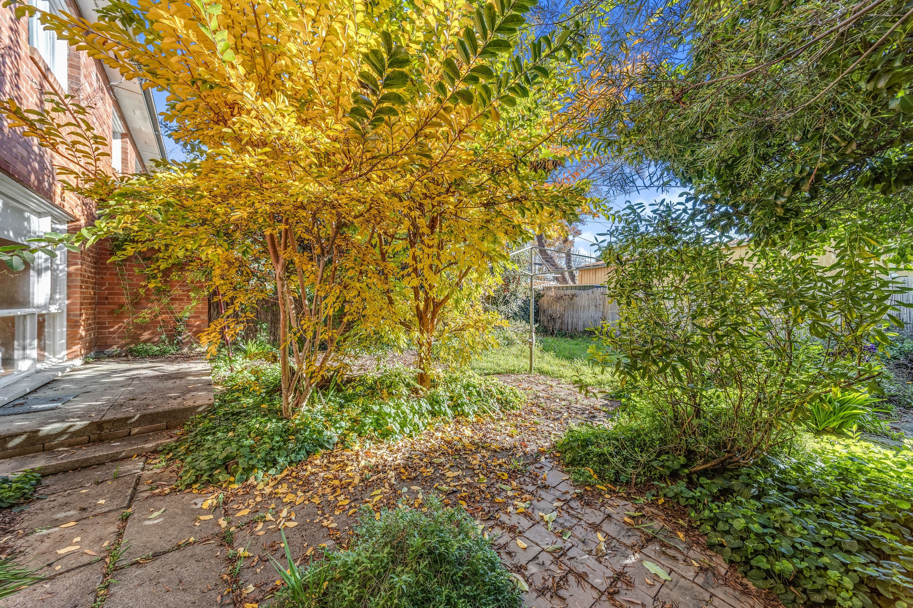 3 Boyd Street, Lyneham ACT 2602, Lyneham - Thumbnail 3